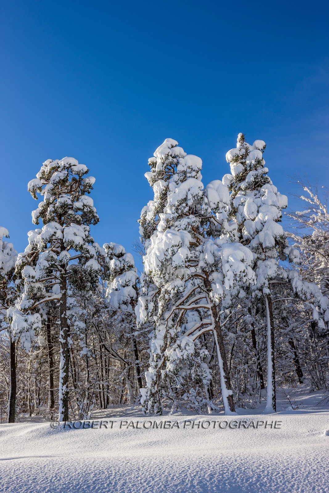 La Colle-Saint-Michel