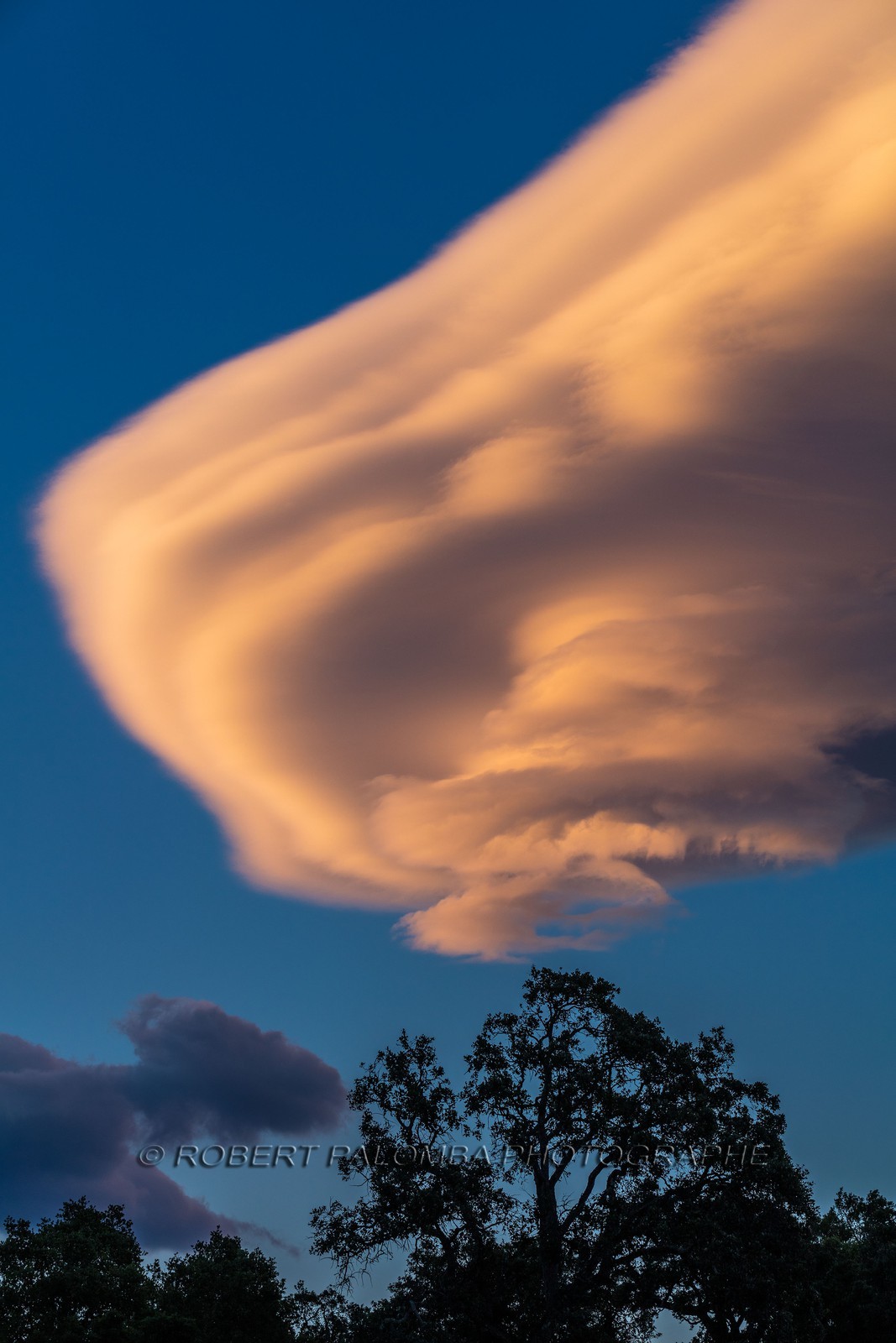 Lenticulaire
