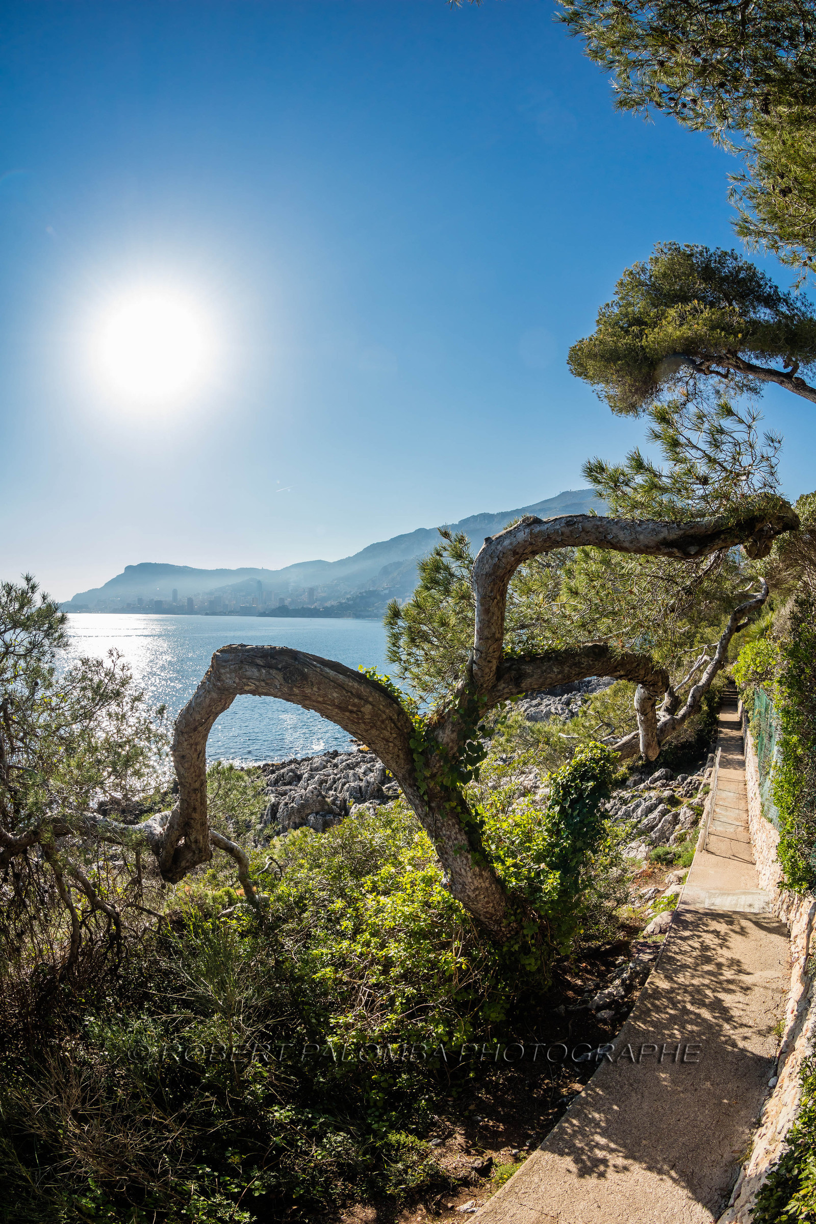 Roquebrune-Cap-Martin
