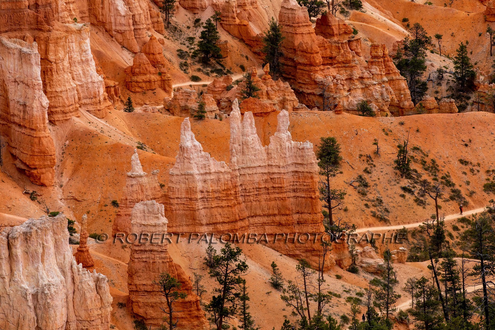 Bryce Canyon