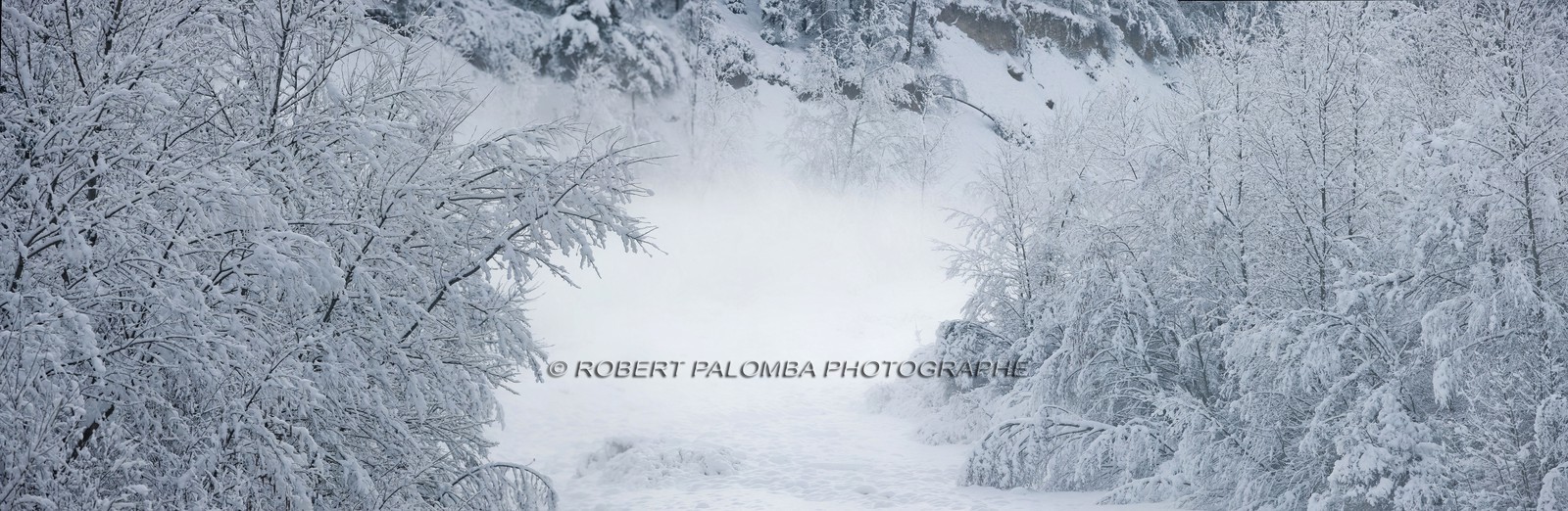 Pont de la Reine Jeanne