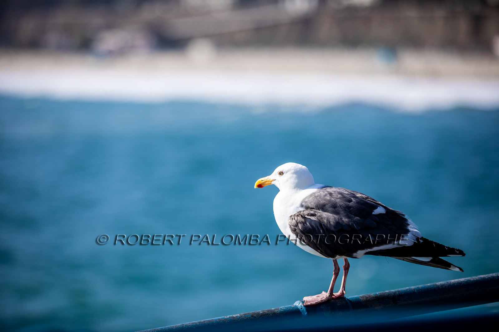 Etats-Unis, Californie-du-Sud, Los Angeles, Santa Monica