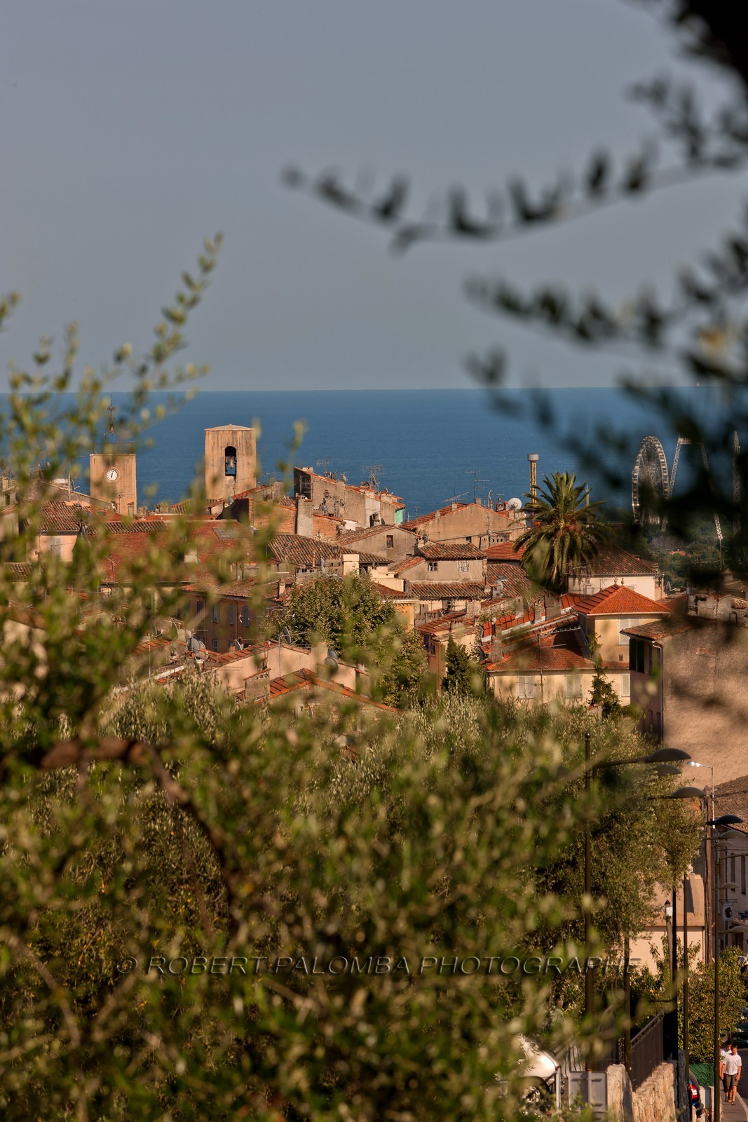 Biot