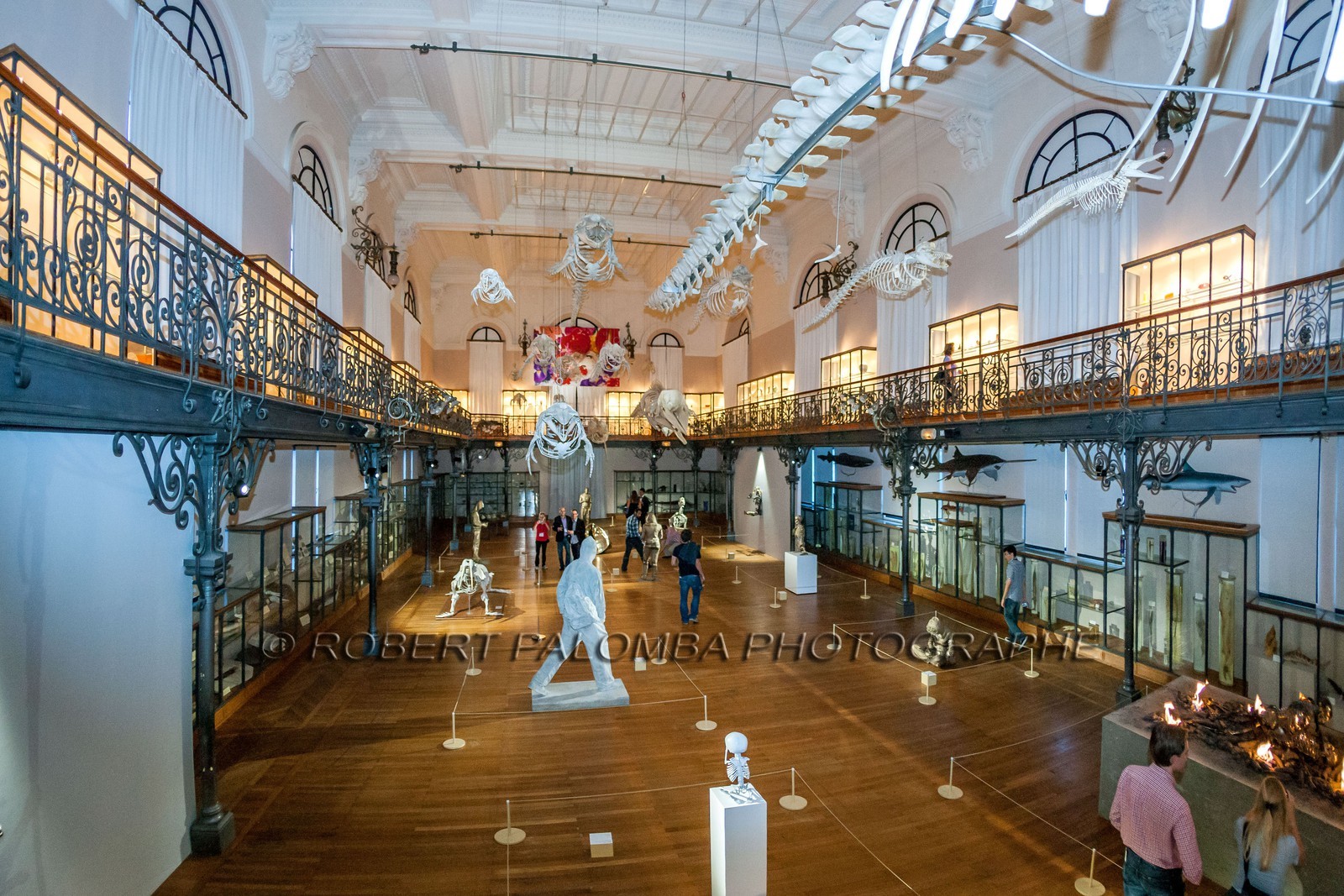 Musée Océanographique de Monaco