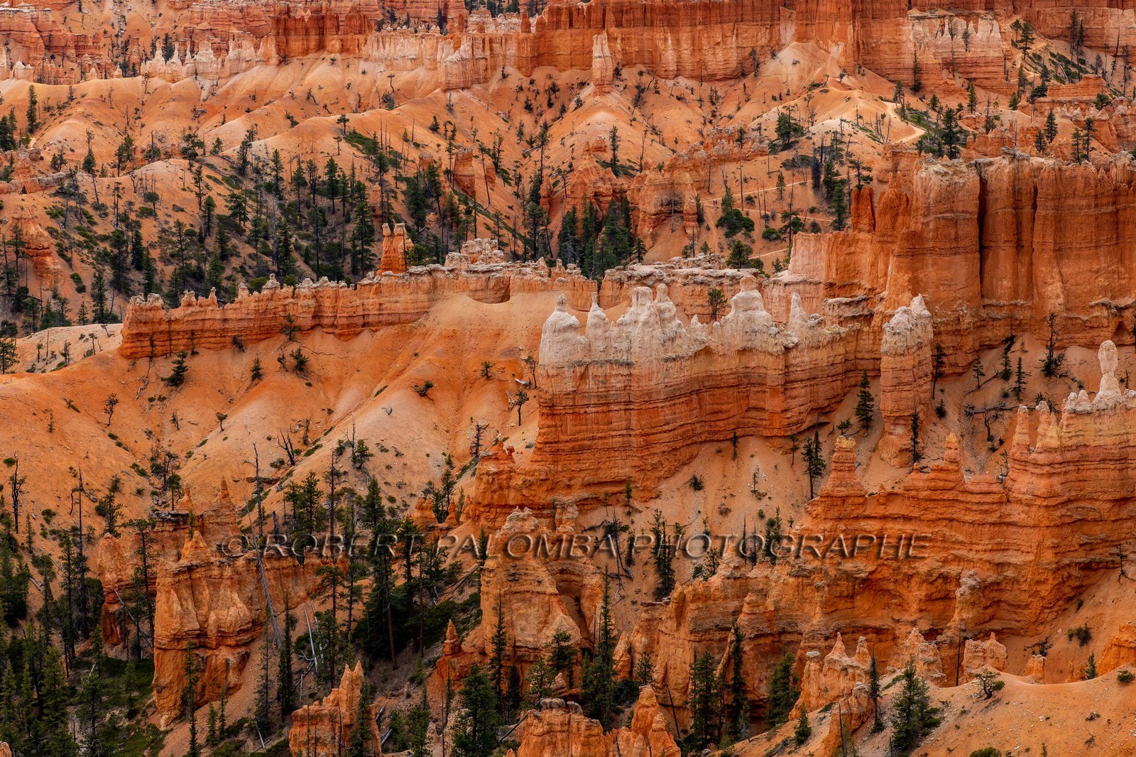 Bryce Canyon