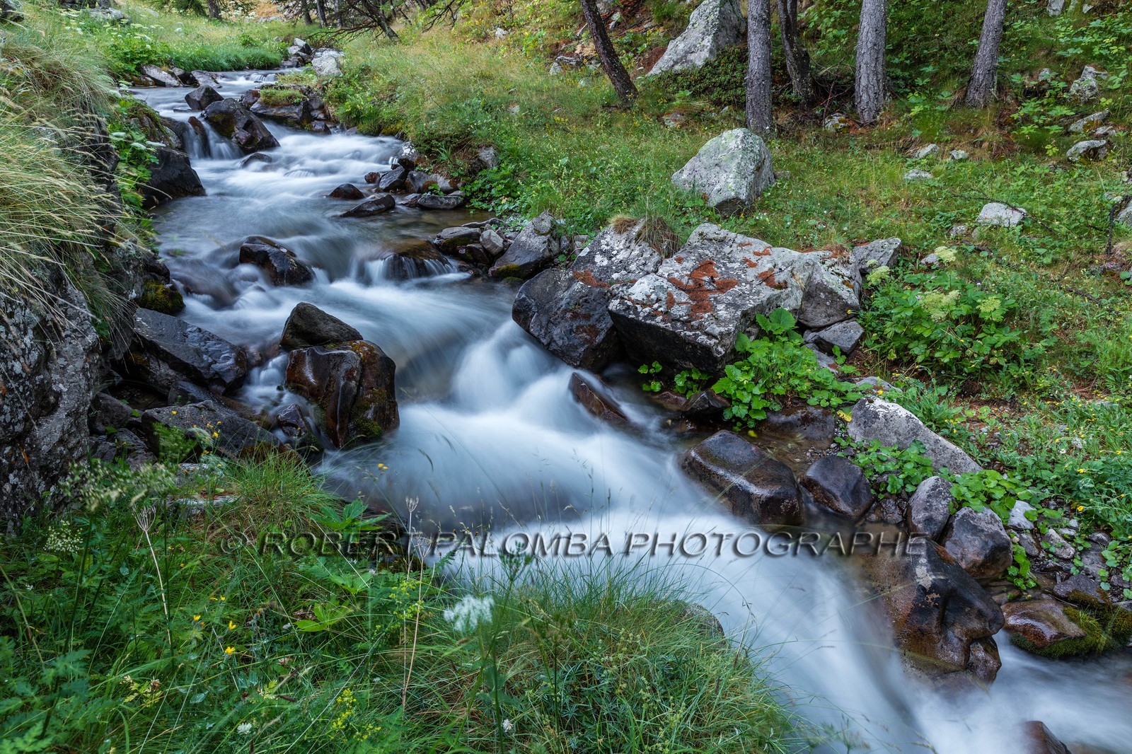Lac d'Allos