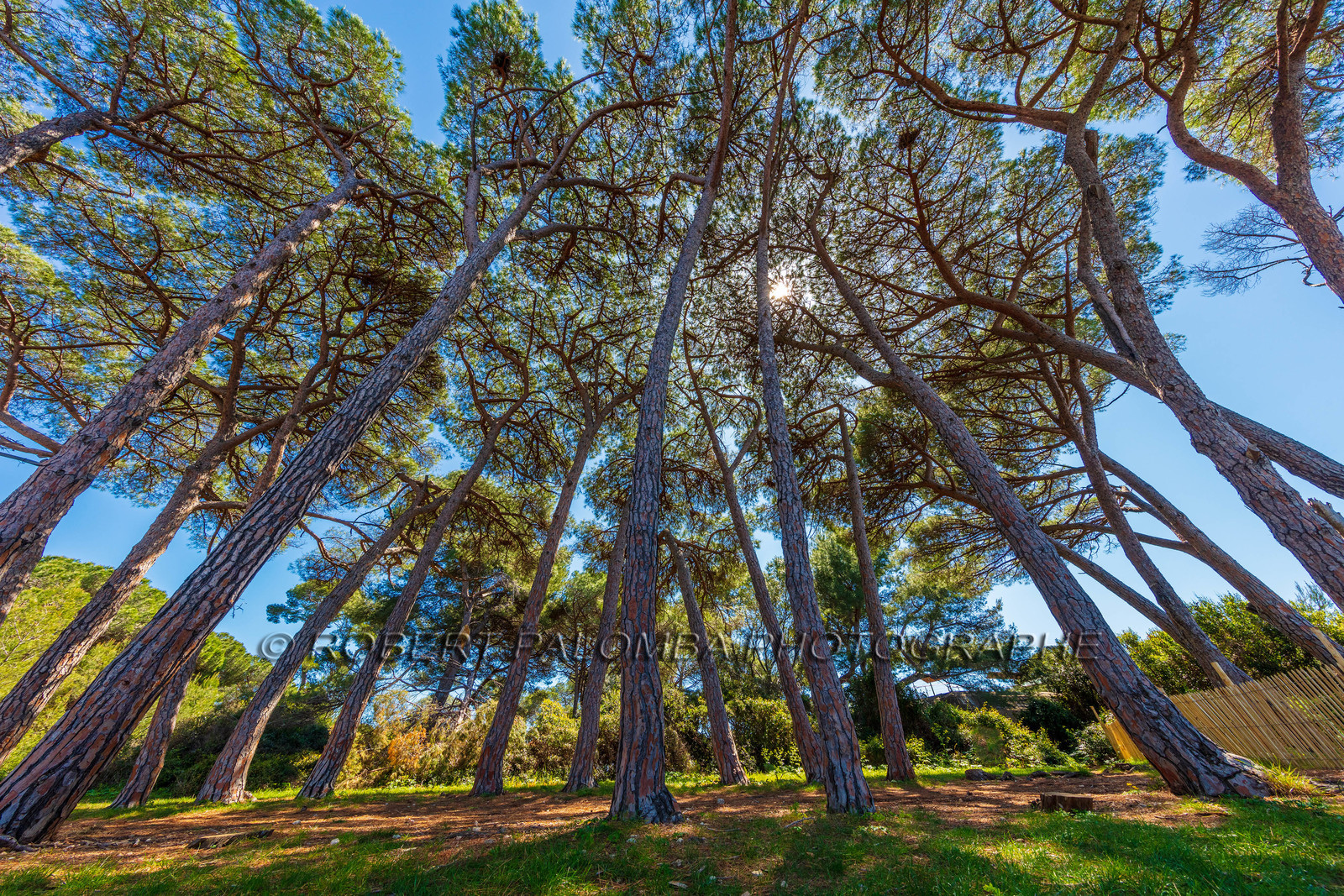 Lérins, Sainte-Marguerite