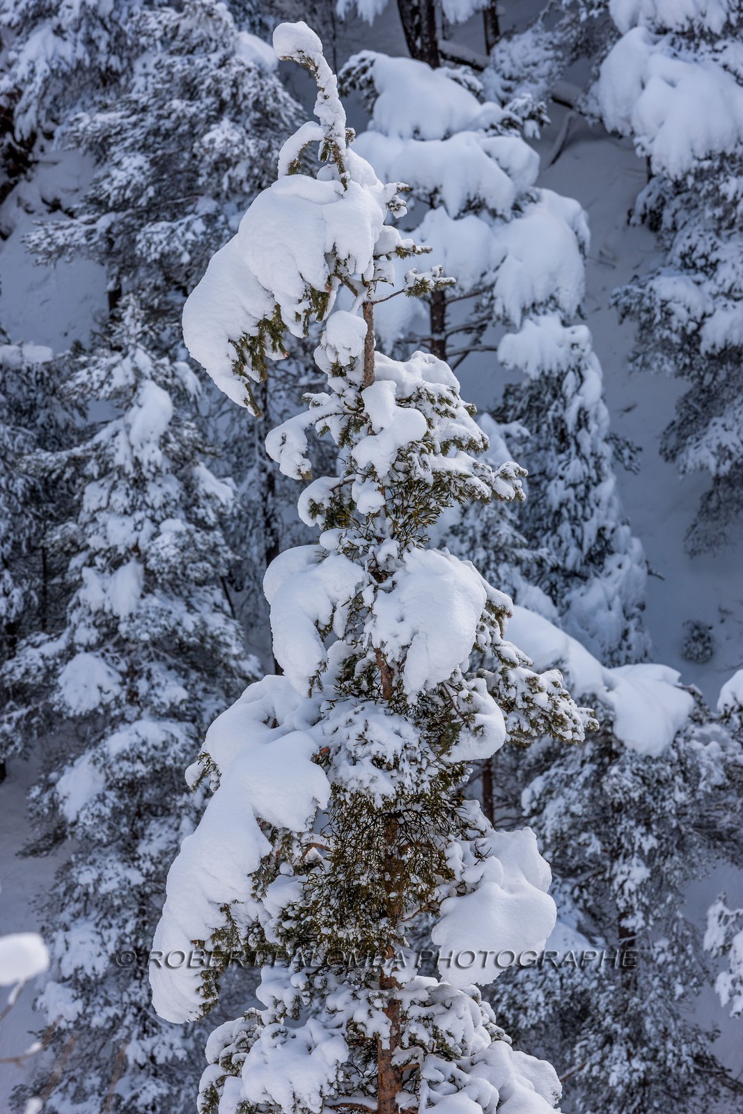 La Colle-Saint-Michel
