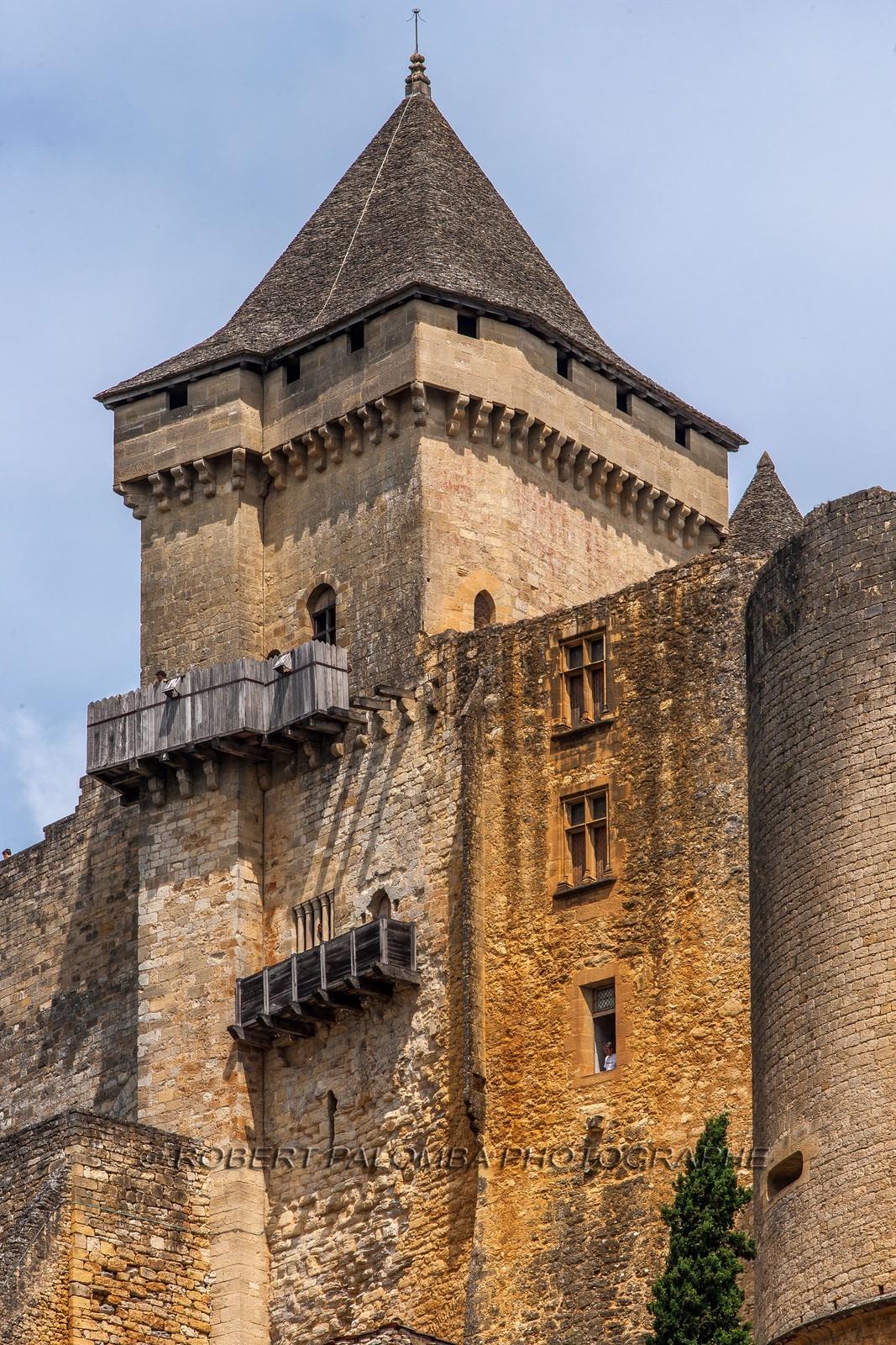 Château de Castelnaud