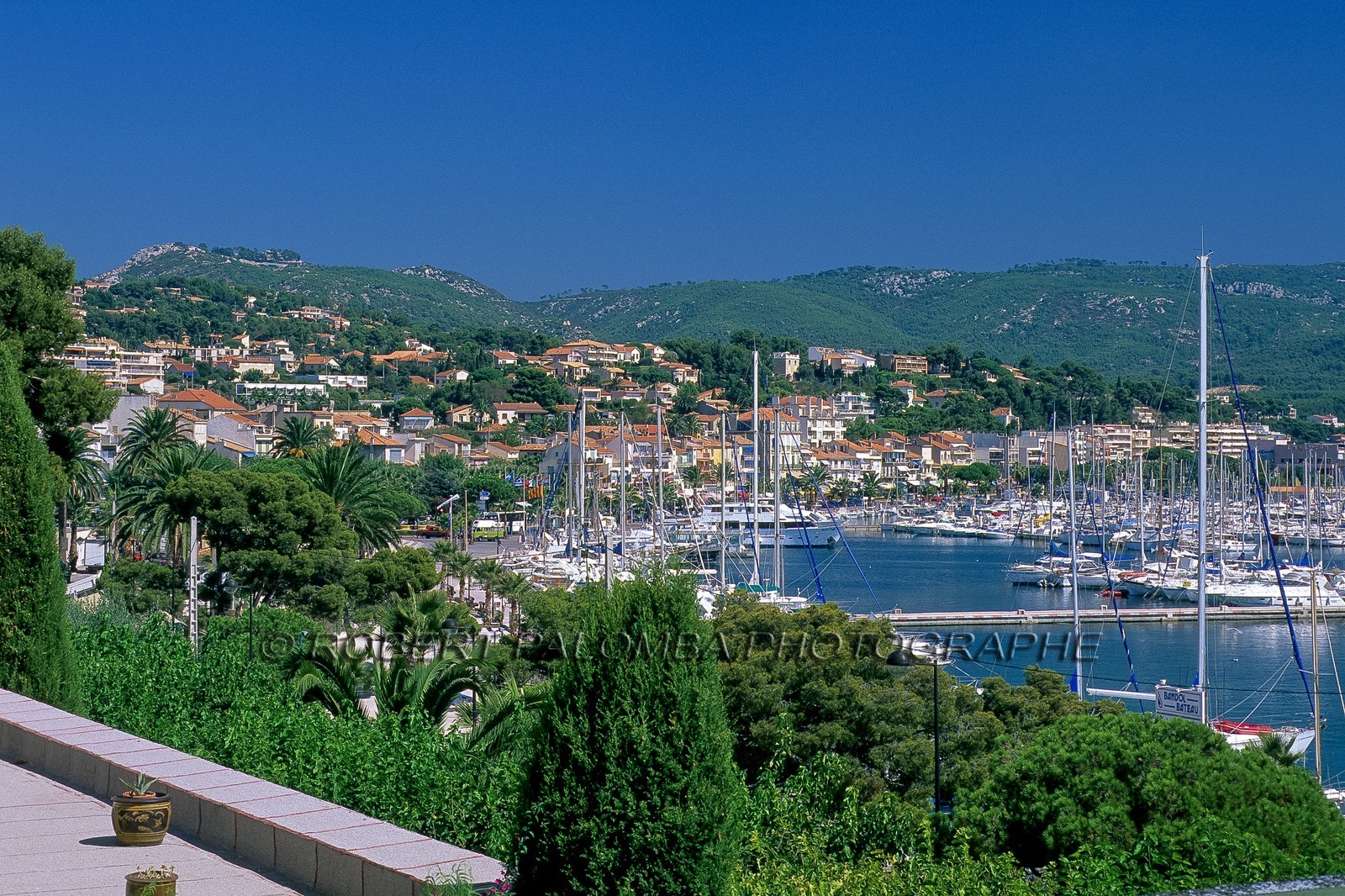 Bandol
