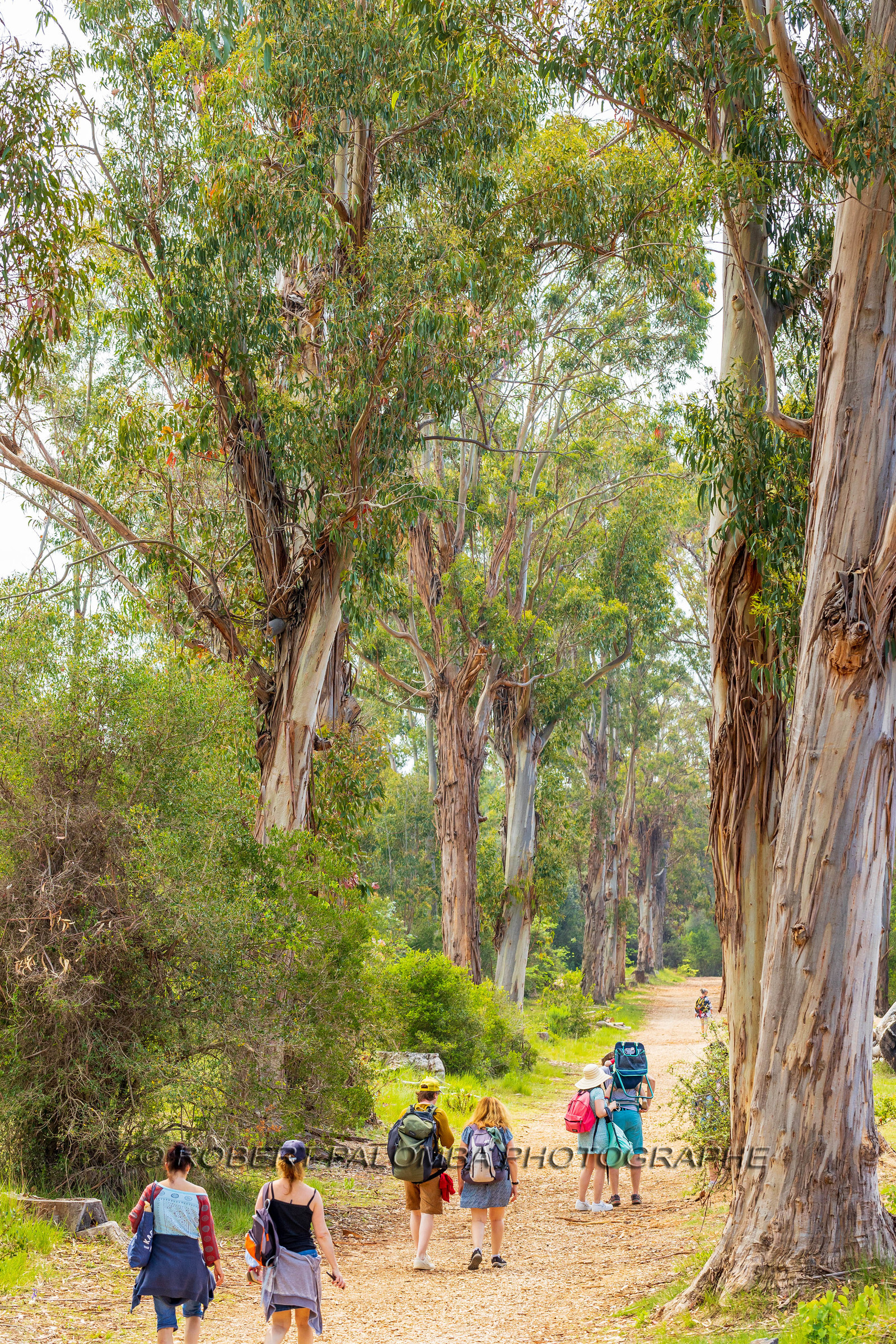 Lérins Sainte-Marguerite