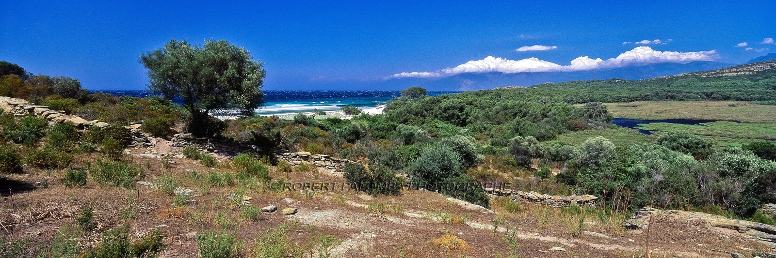 Désert des Agriates