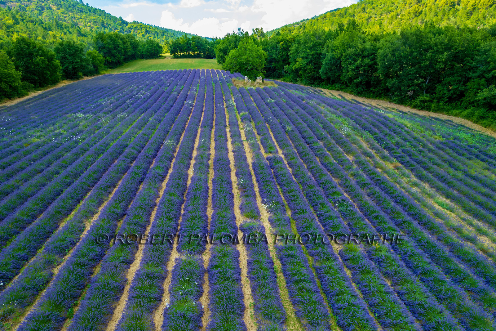 Le Chaffaut-Saint-Jurson