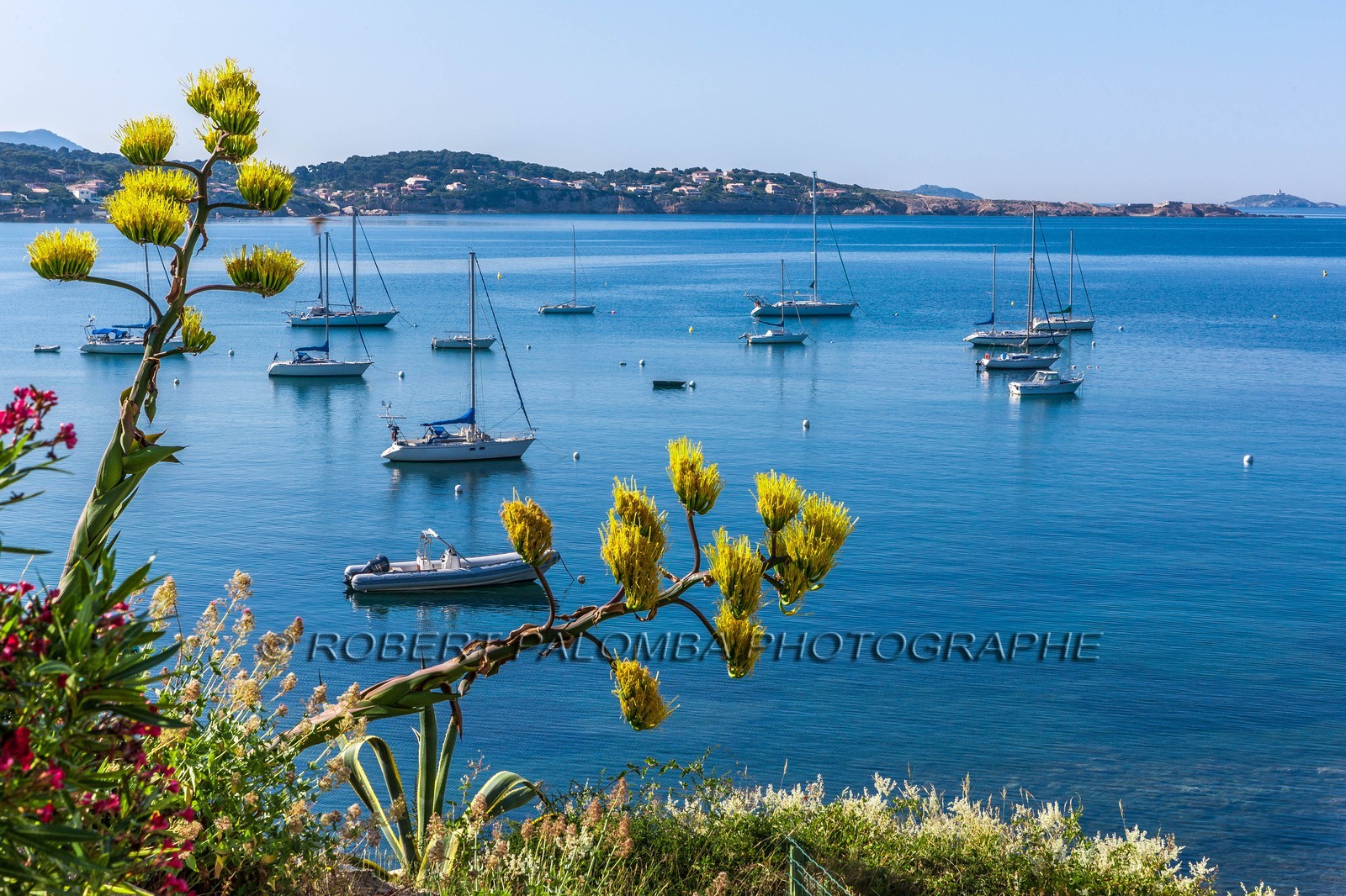 Bandol