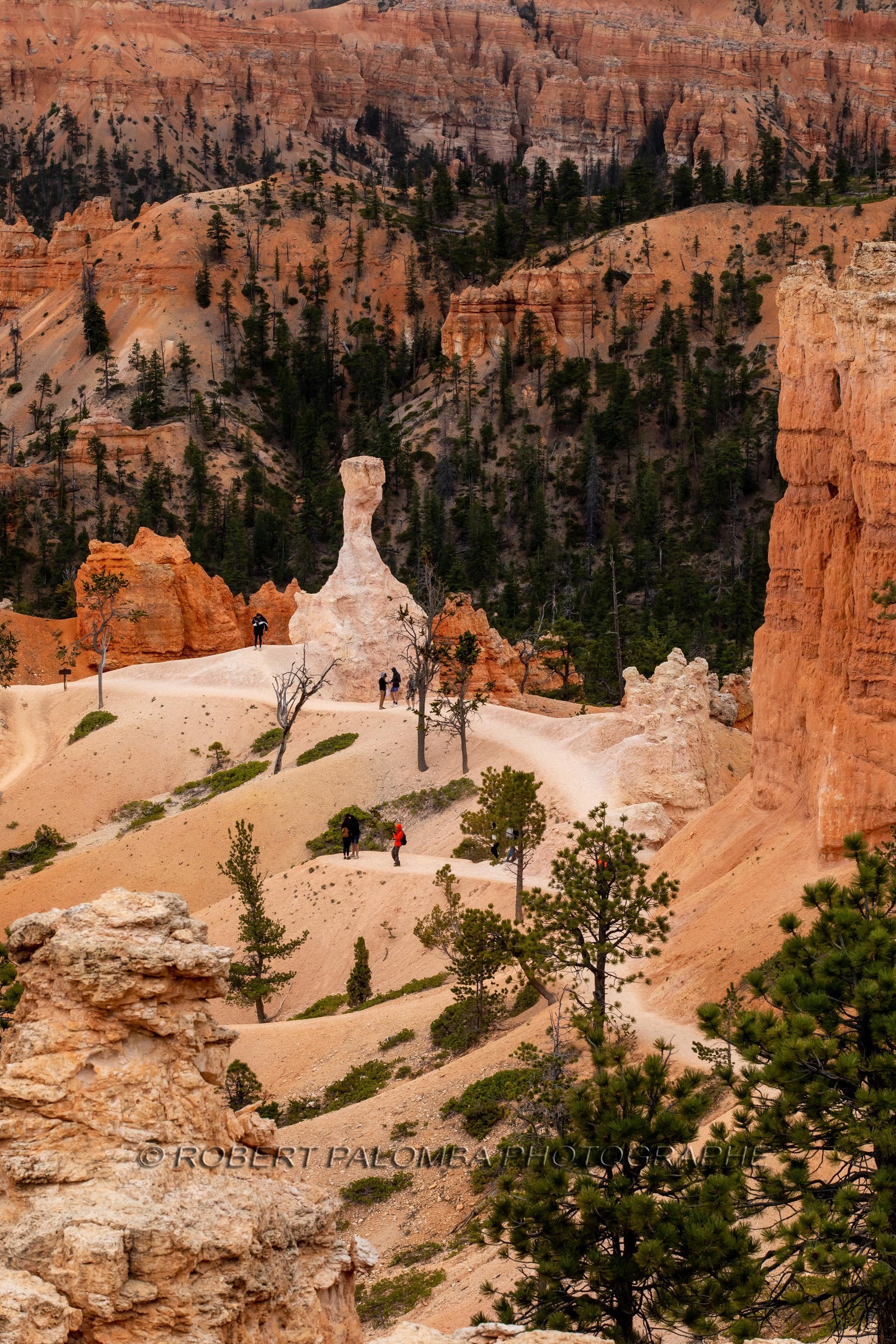 Bryce Canyon