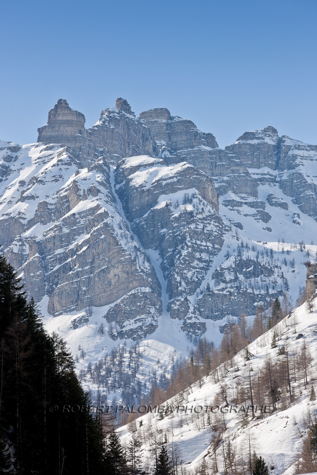 Saint-Dalmas-le-Selvage