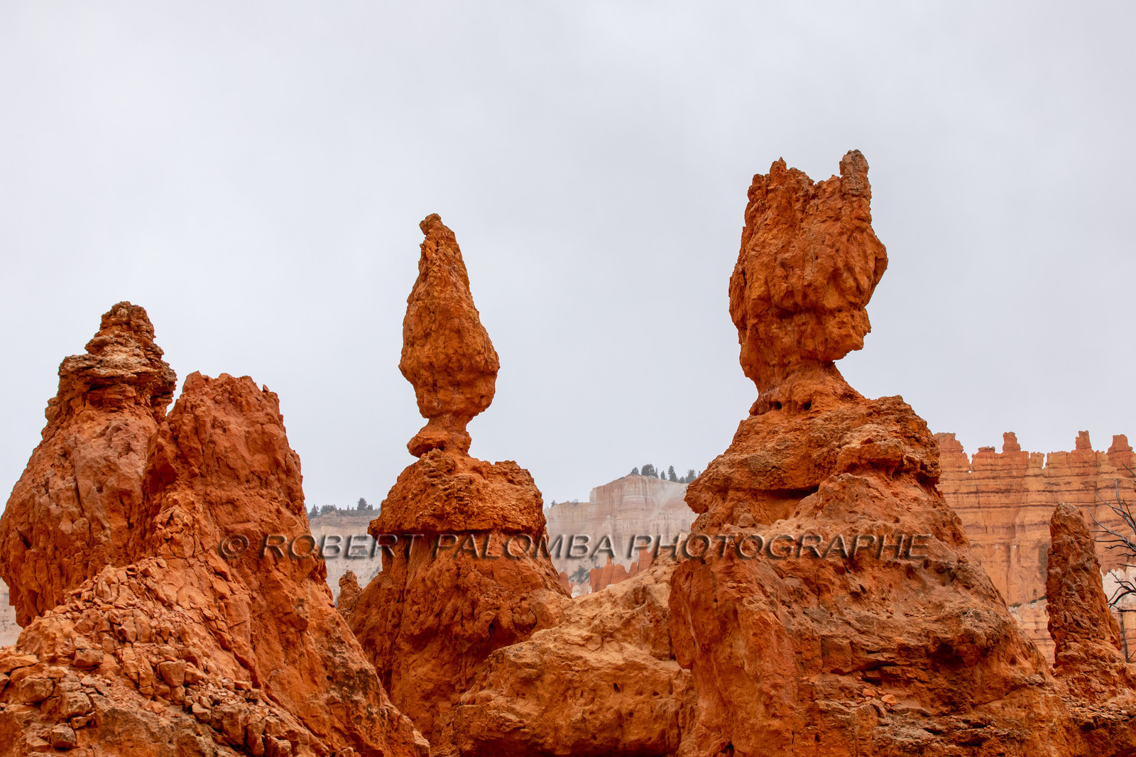 Bryce Canyon