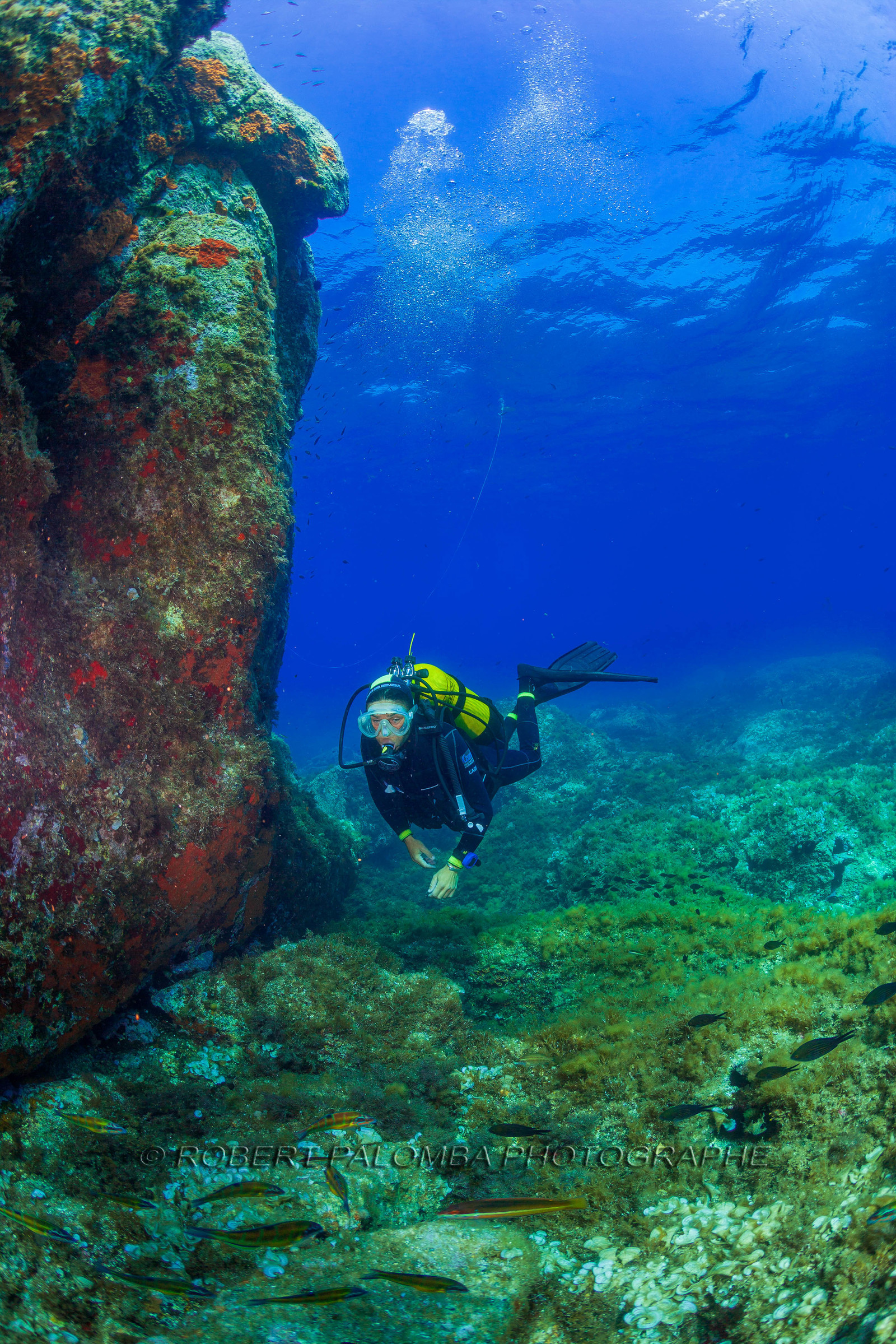 Plongée-sous-marine