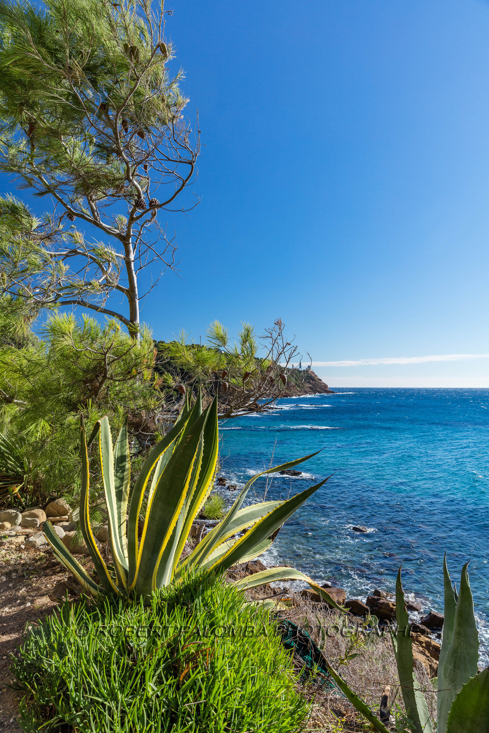 Saint-Mandrier-sur-Mer