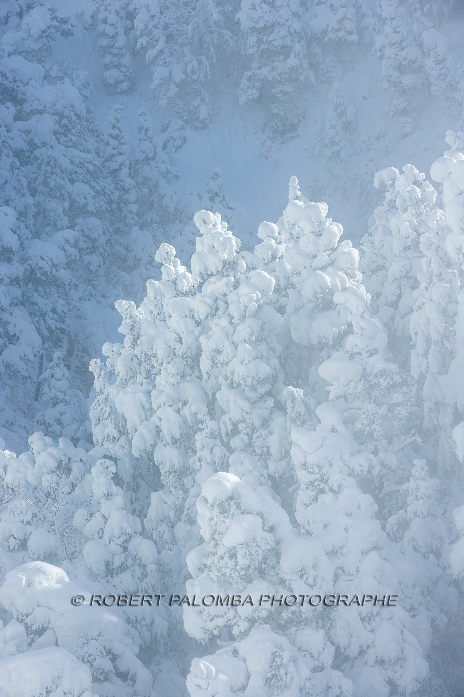 La-Colle-Saint-Michel