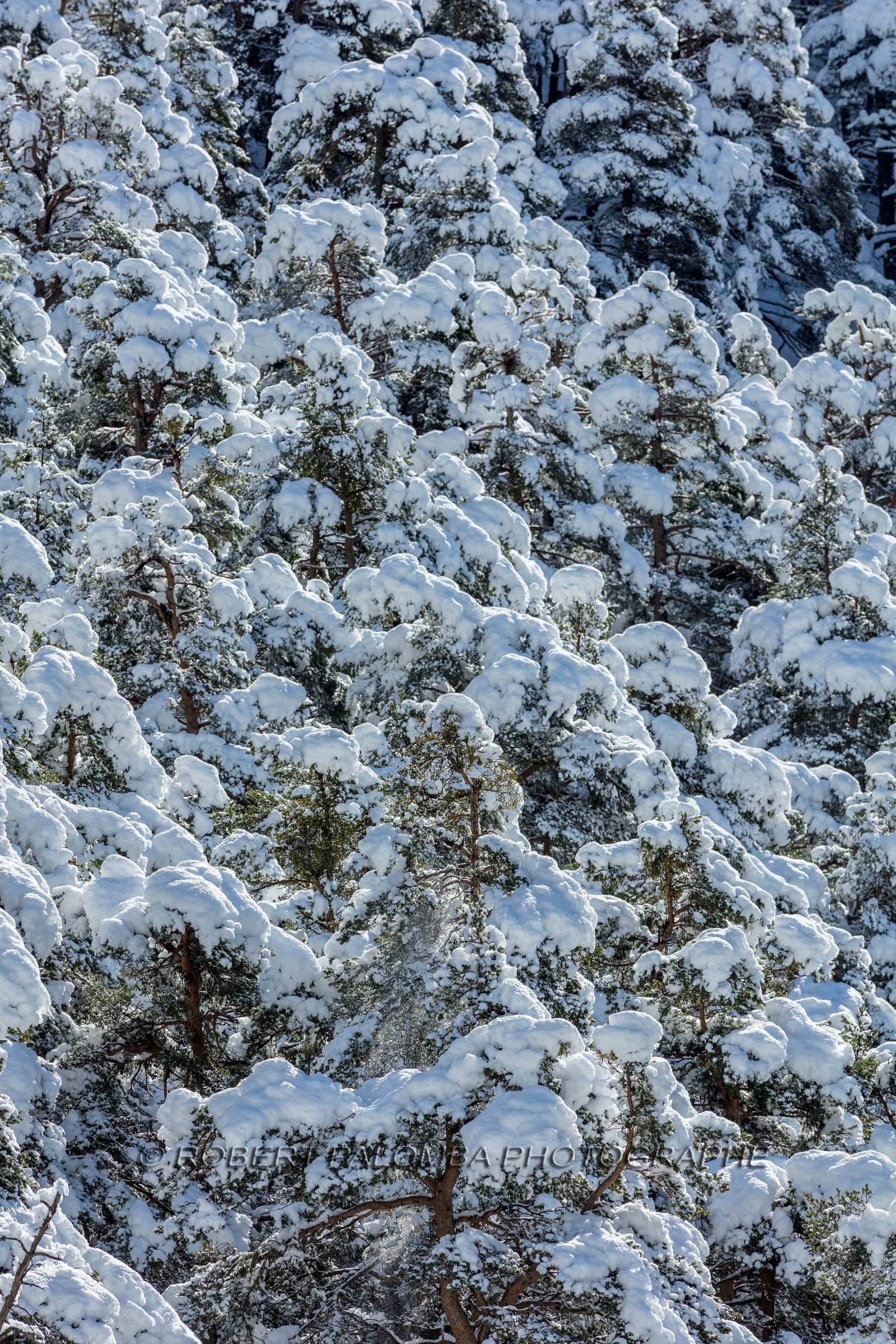 La Colle-Saint-Michel