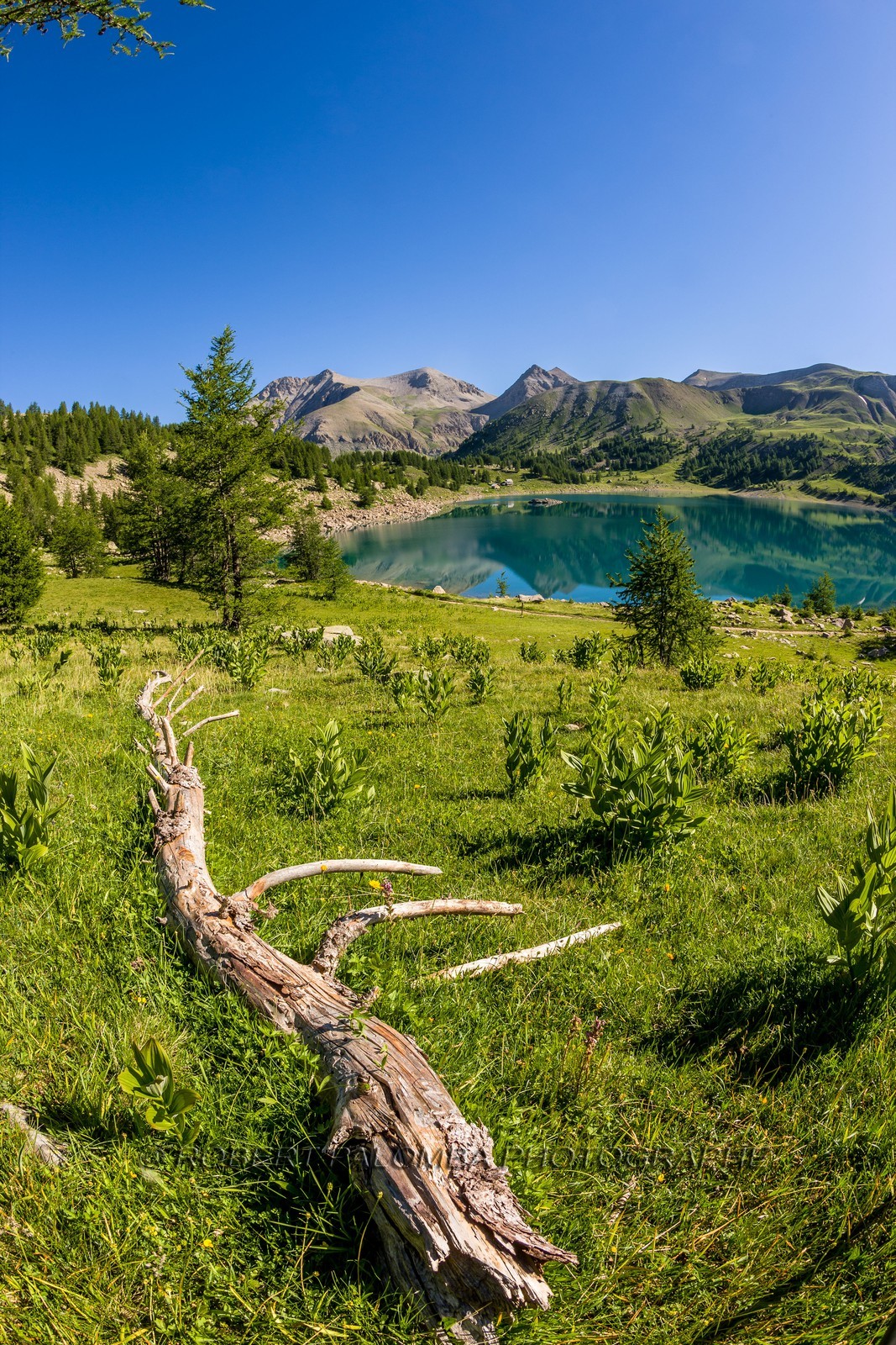Lac d'Allos