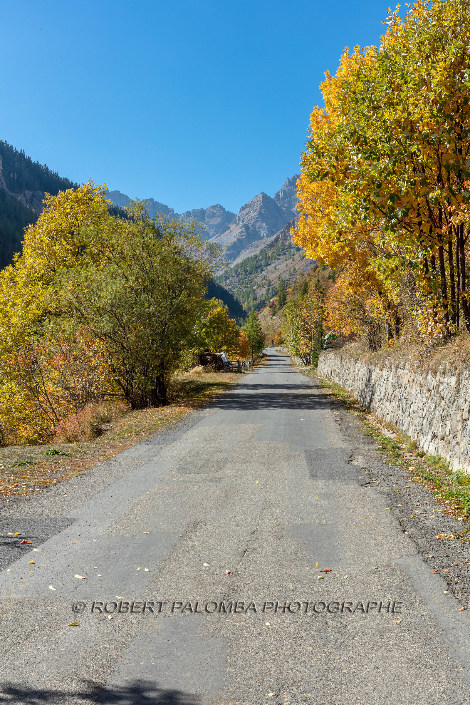 Saint-Dalmas-le-Selvage