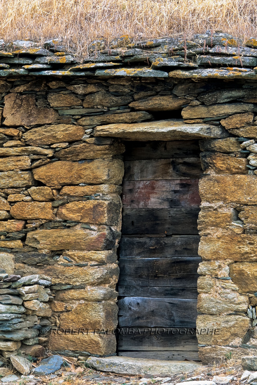 e mail robert.palomba@wanadoo.fr