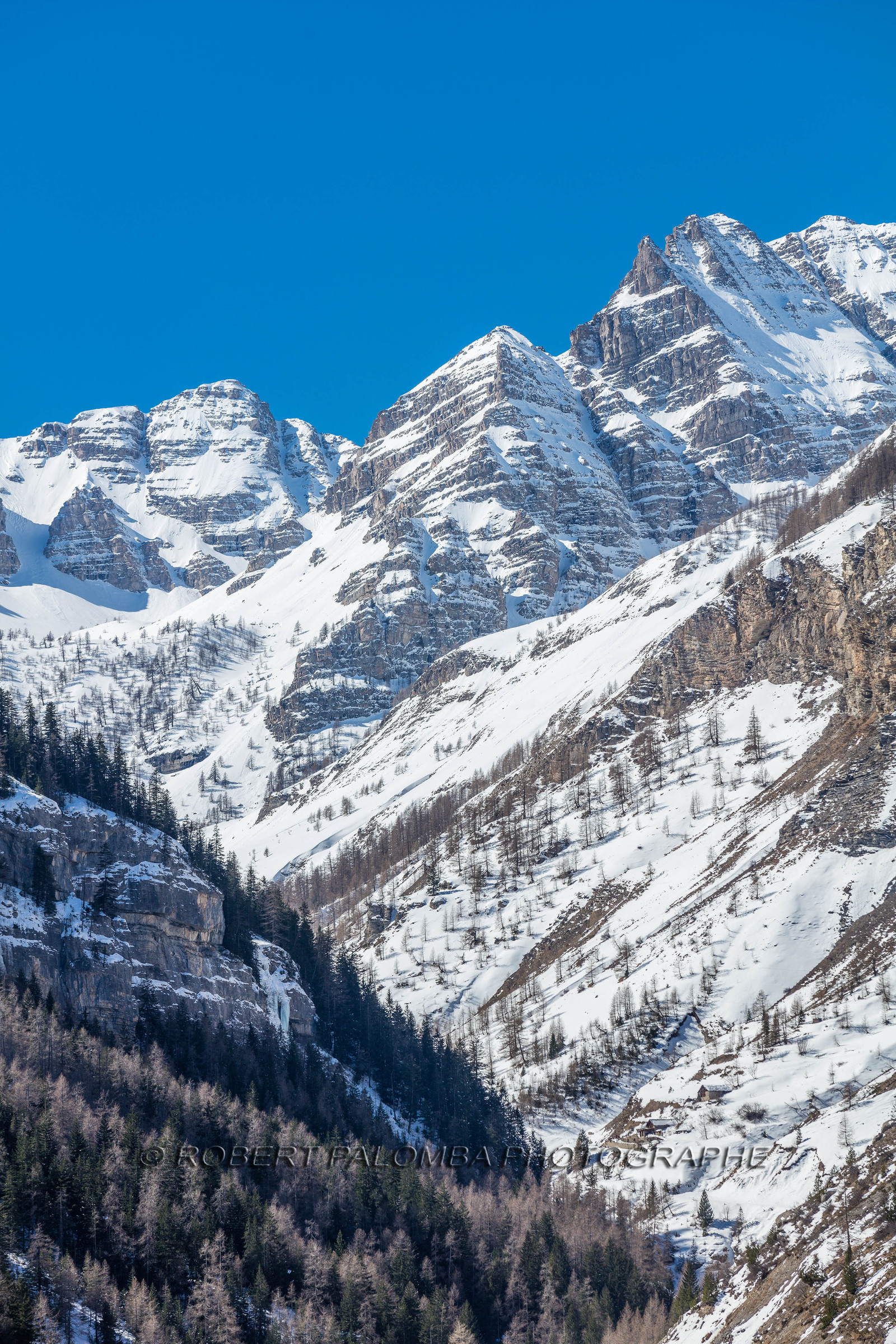 Saint-Dalmas-le-Selvage