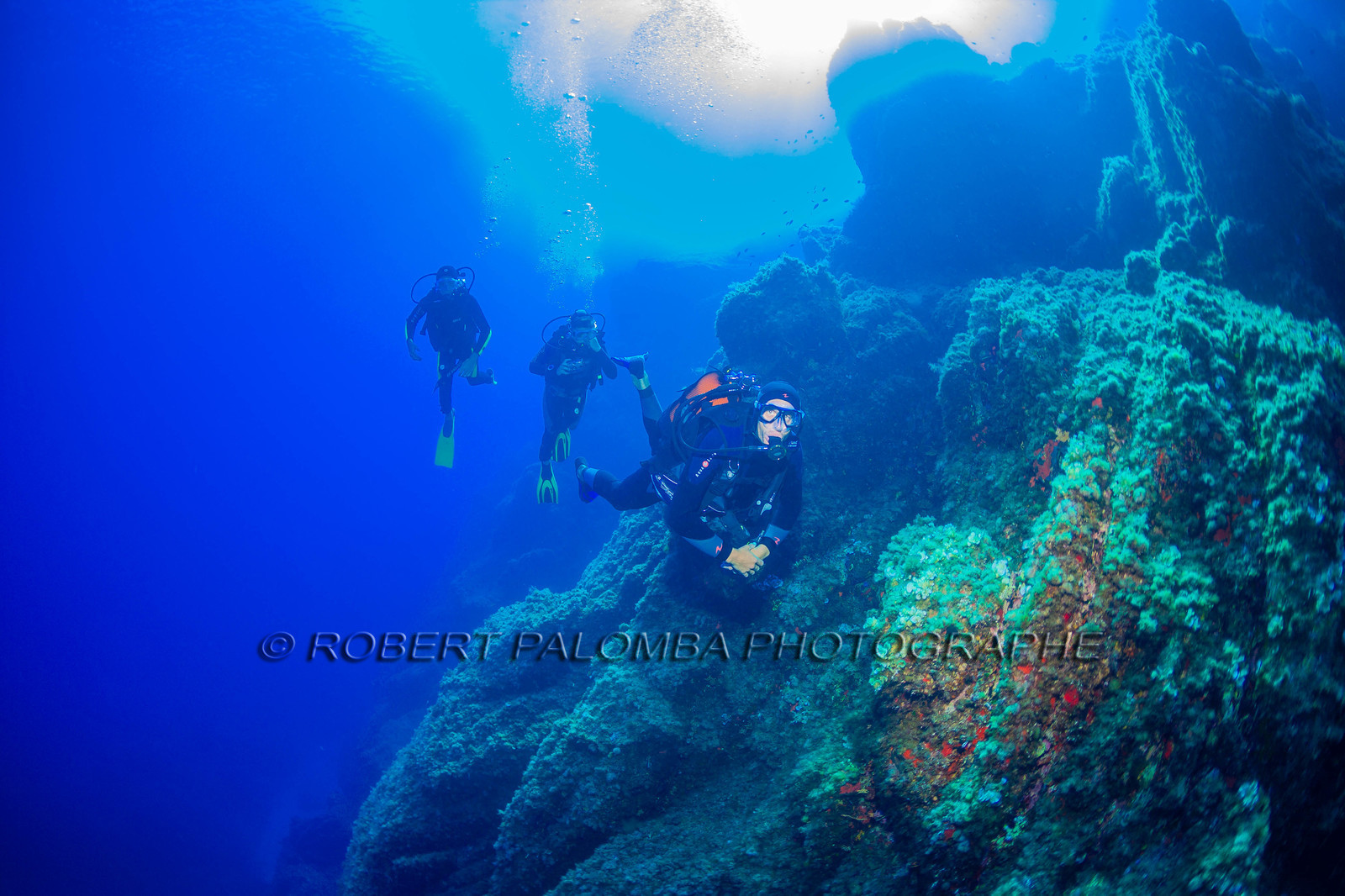 Plongée-sous-marine