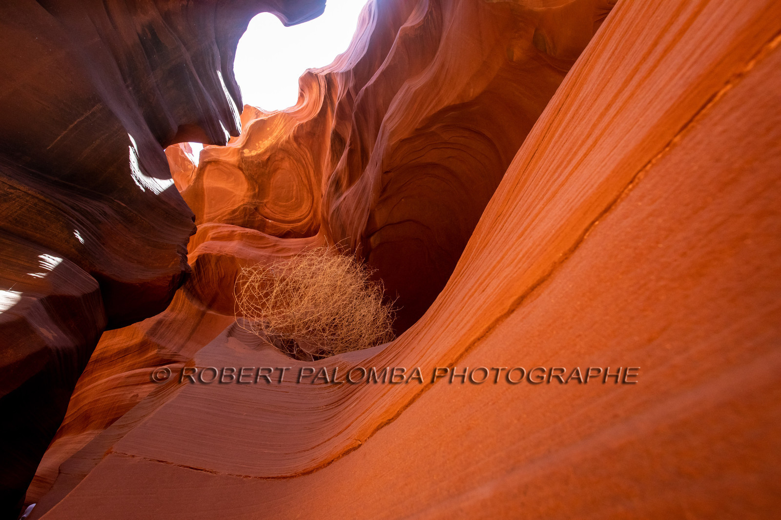 Antelope Canyon