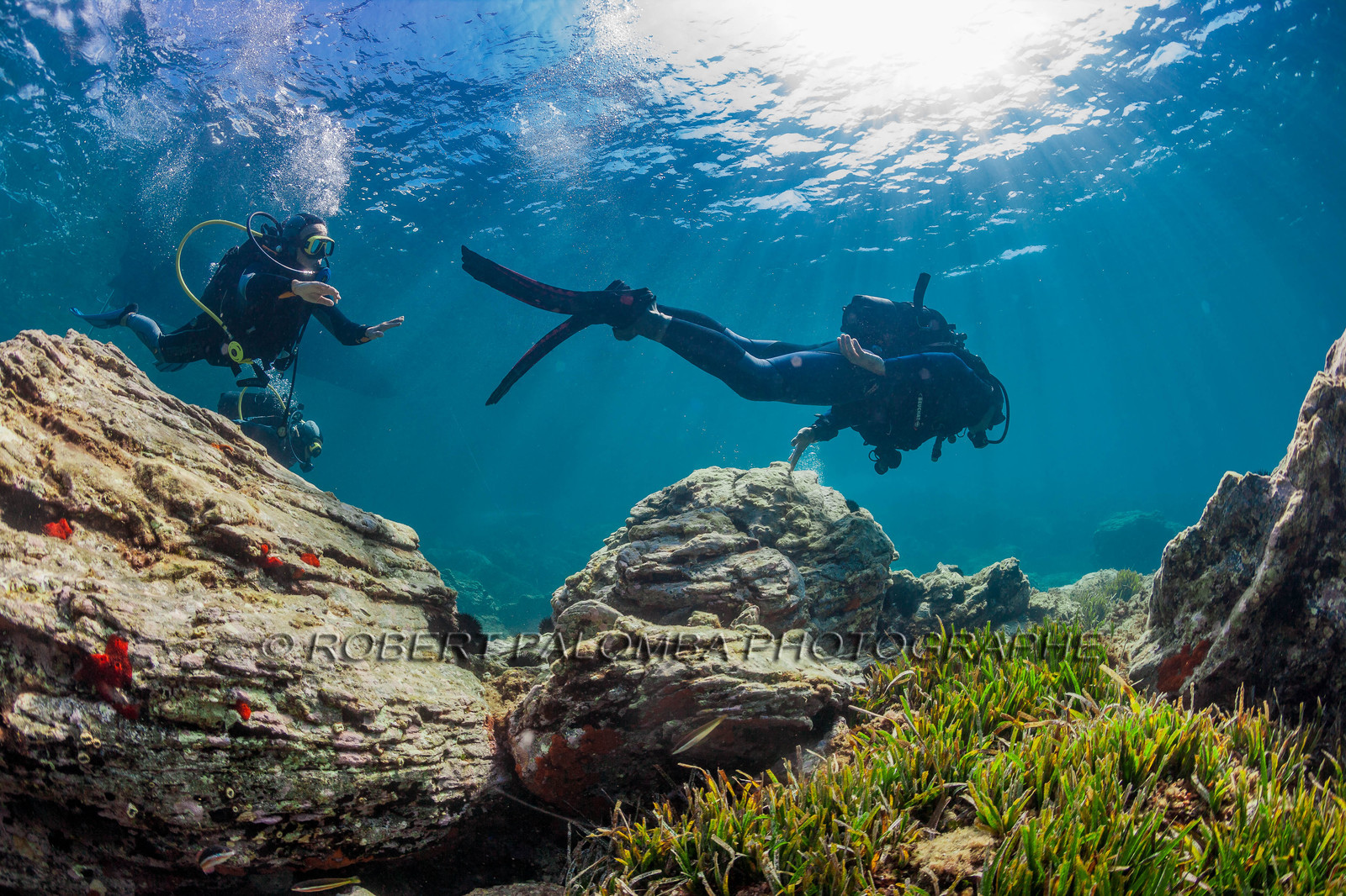 Plongée sous-marine