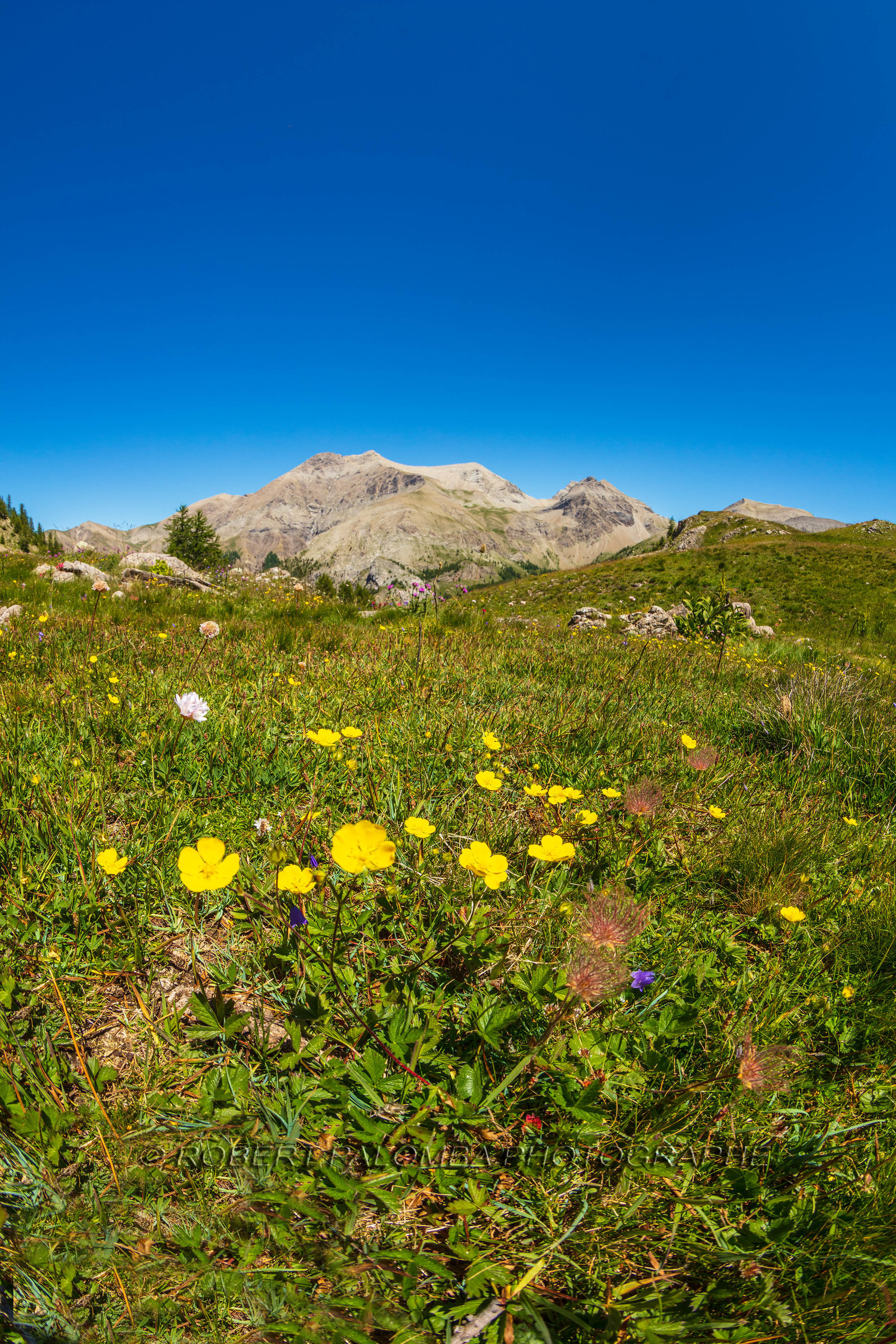 Lac d'Allos