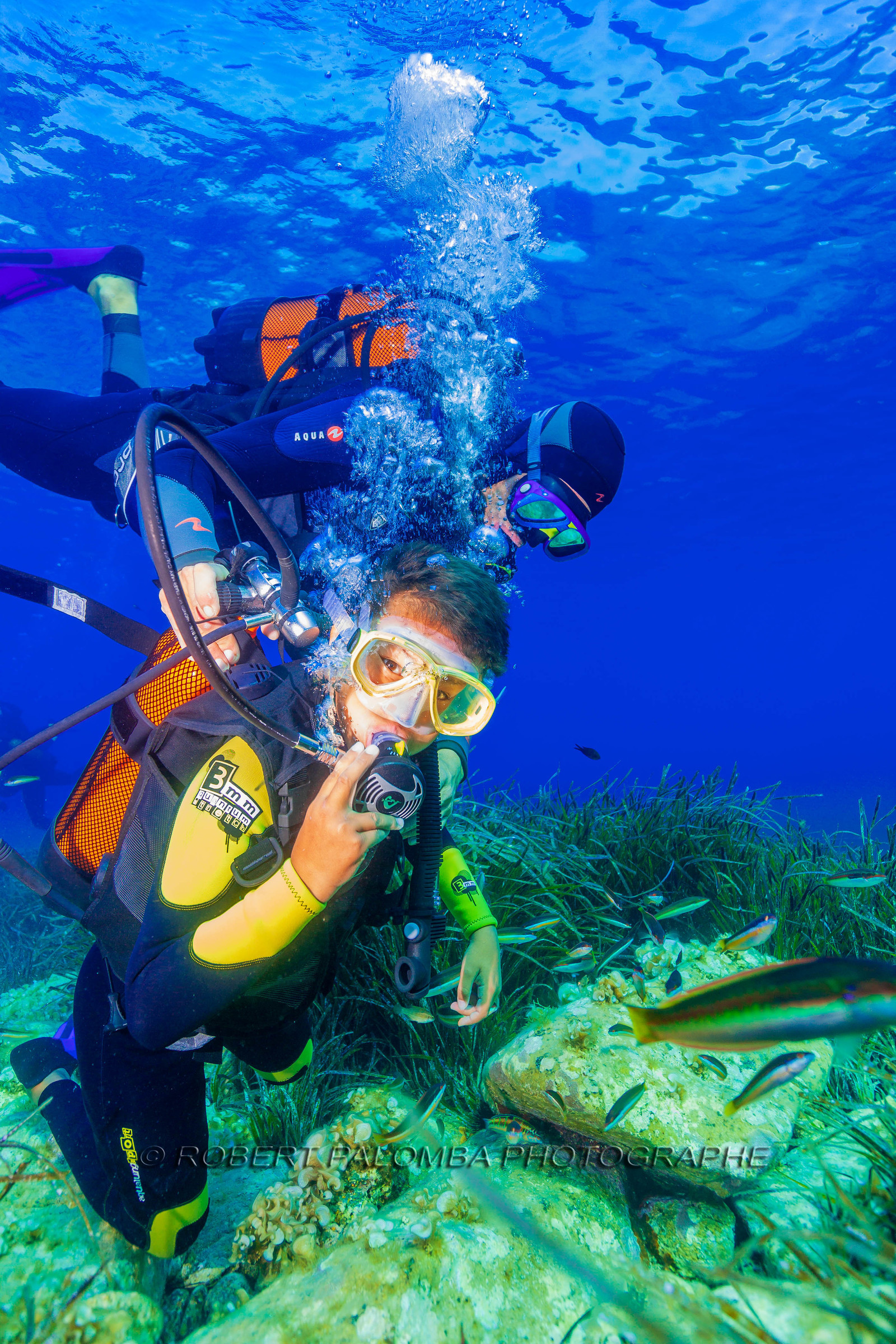 Plongée-sous-marine