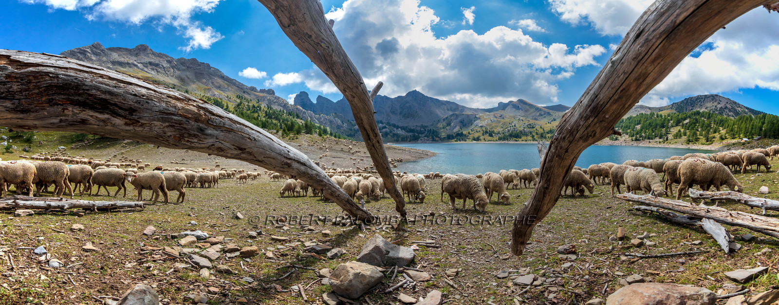 Lac d'Allos
