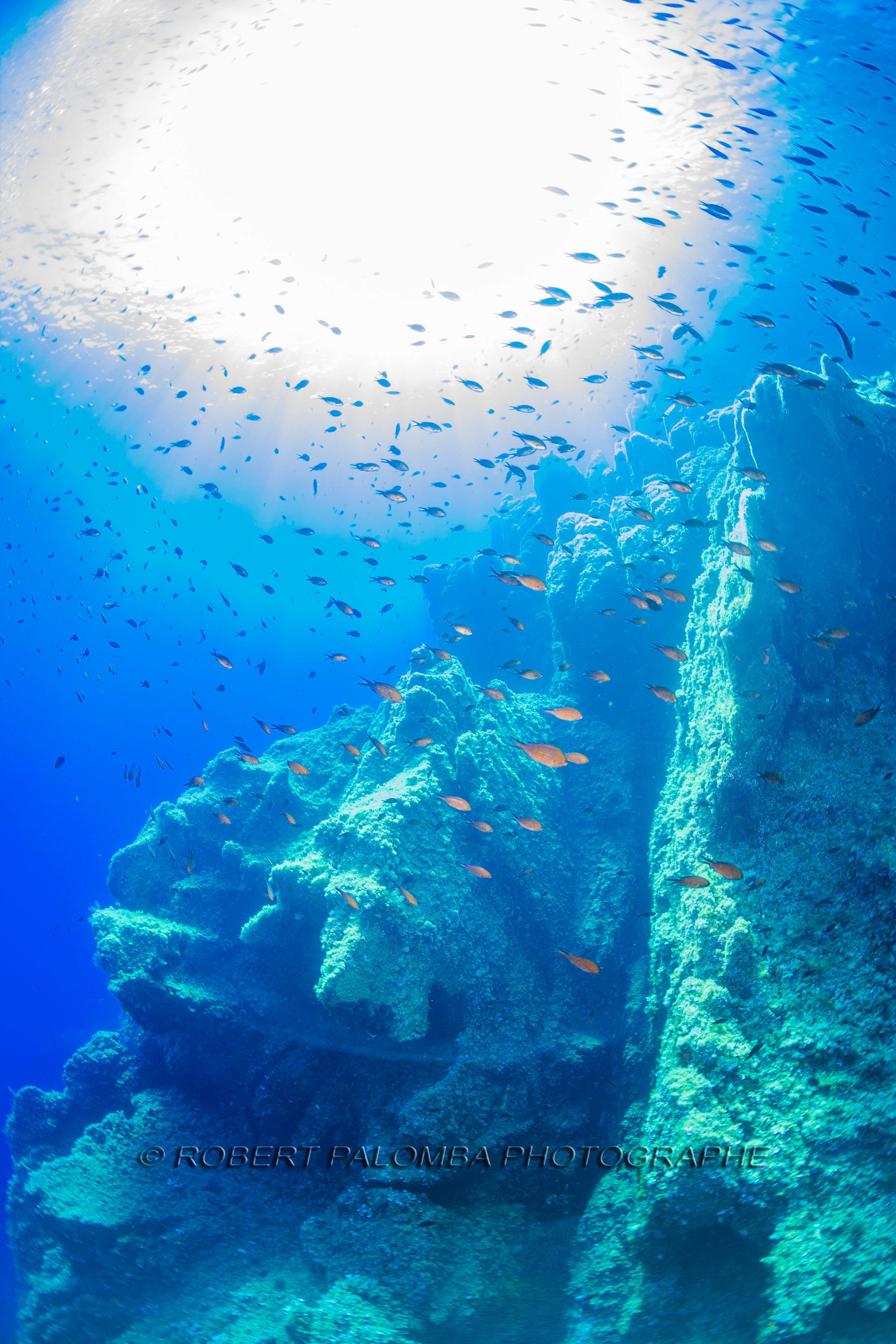 Plongée-sous-marine