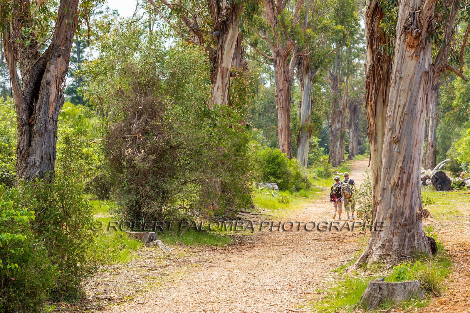 Lérins Sainte-Marguerite