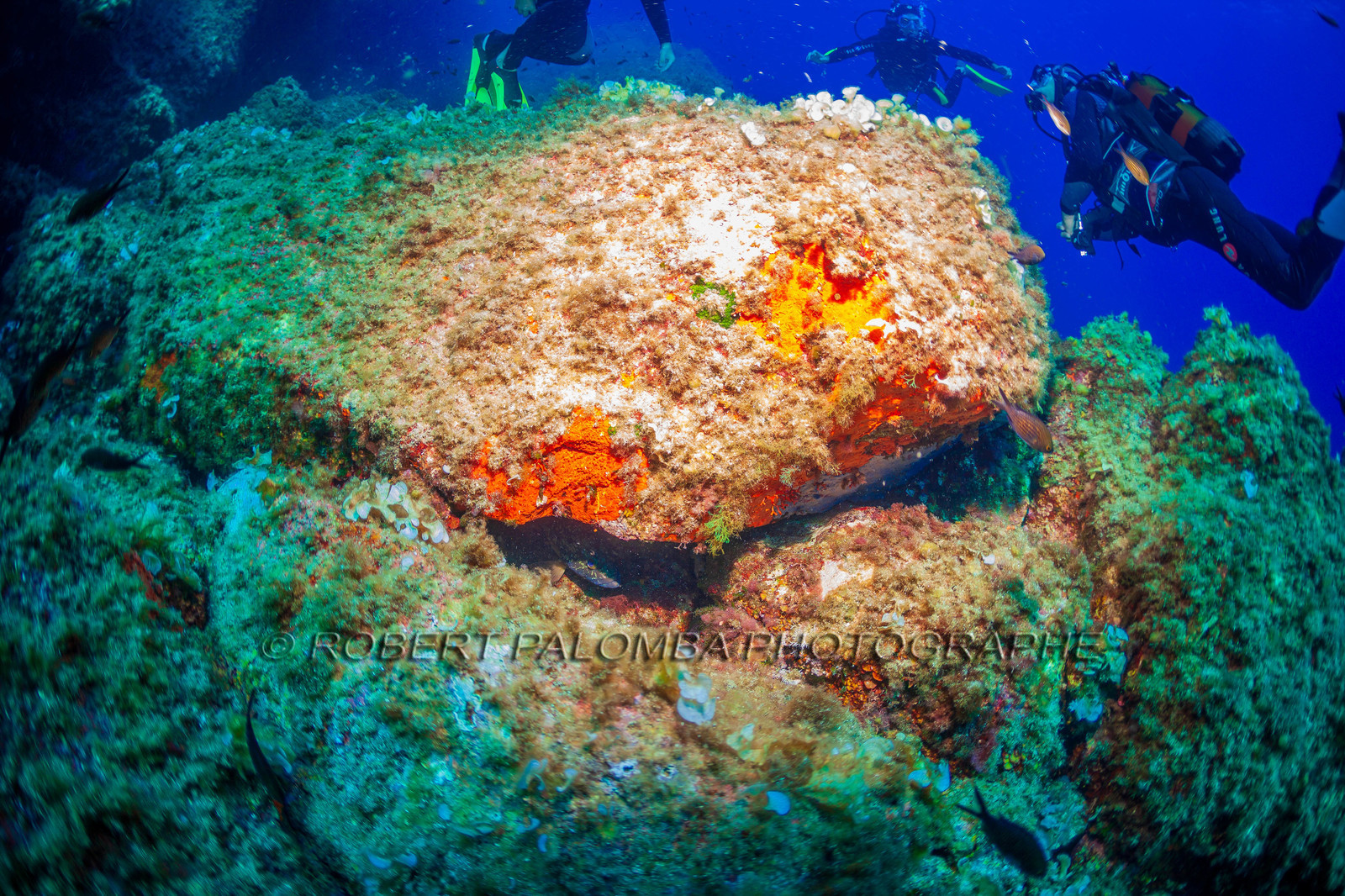 Plongée-sous-marine