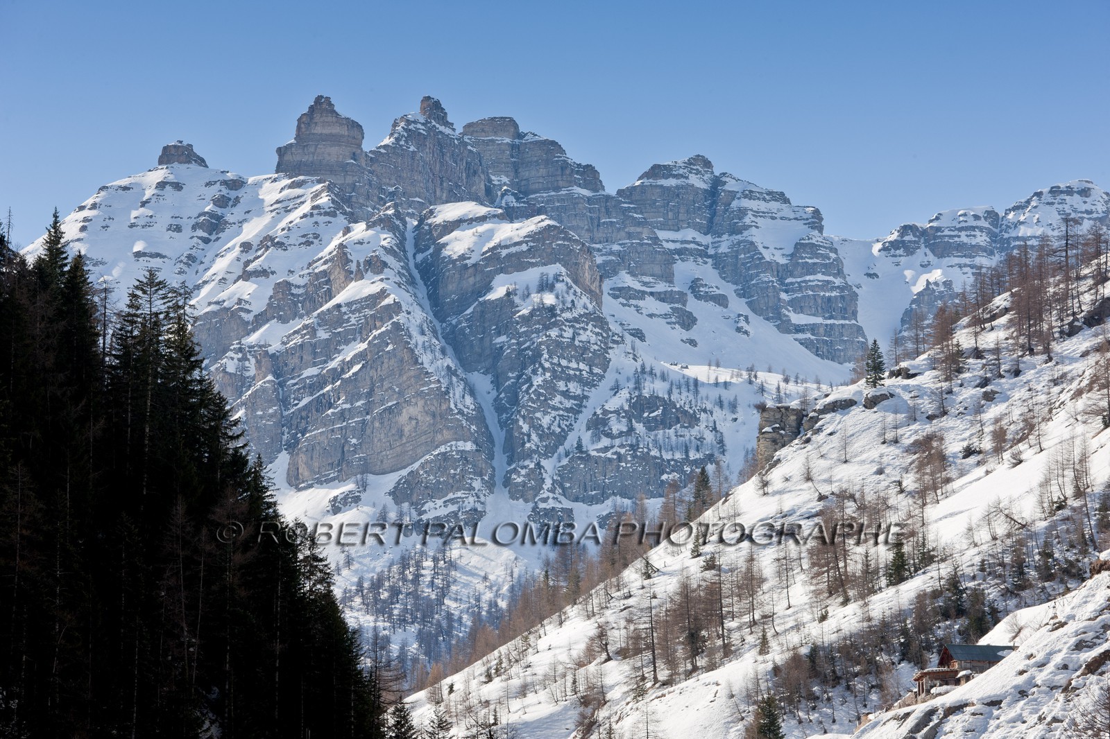 Saint-Dalmas-le-Selvage