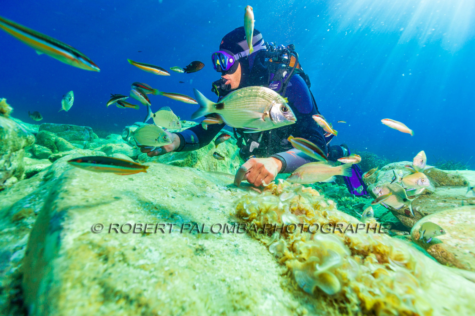 Plongée-sous-marine