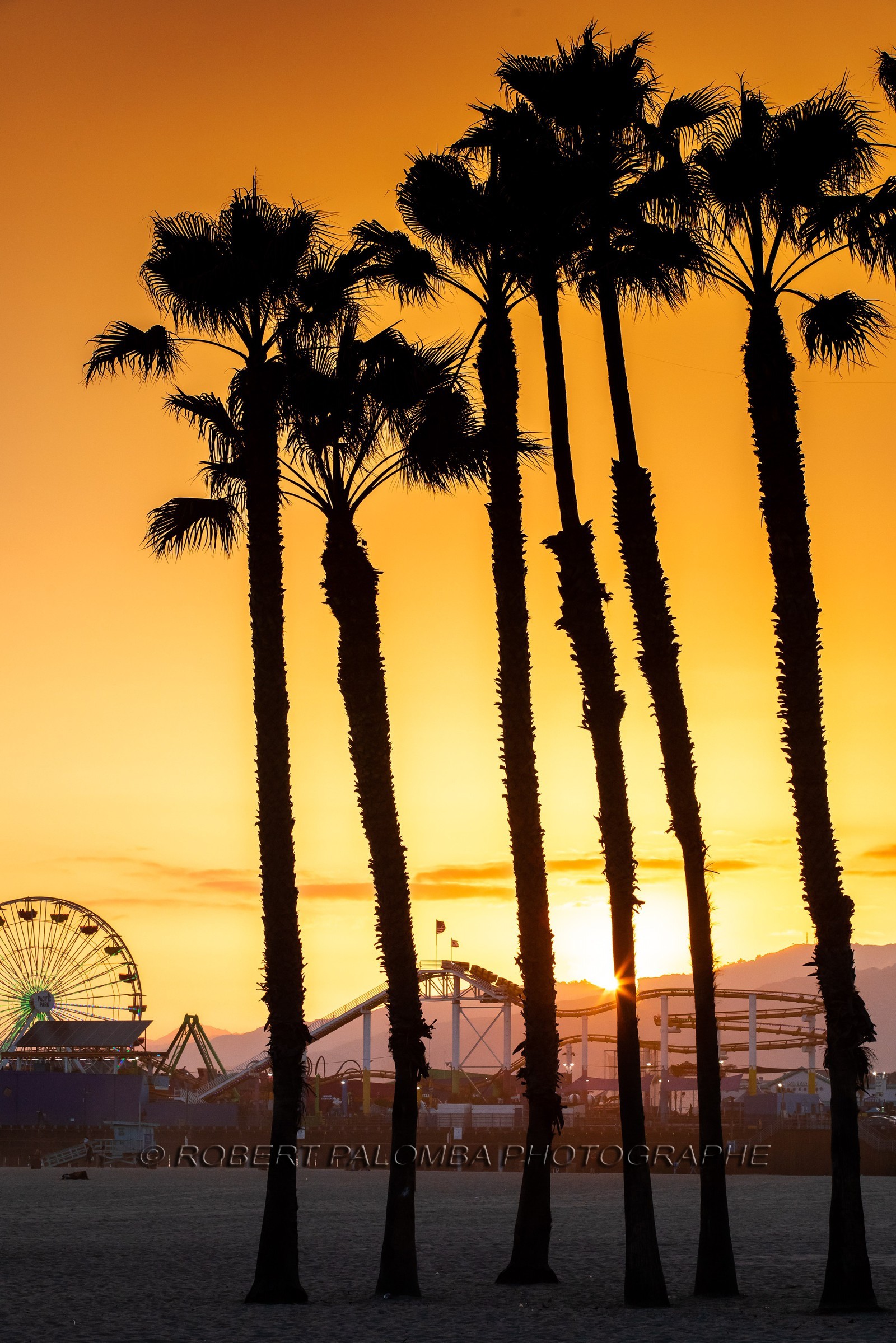 Etats-Unis, Californie-du-Sud, Los Angeles, Venice, Venice Beach