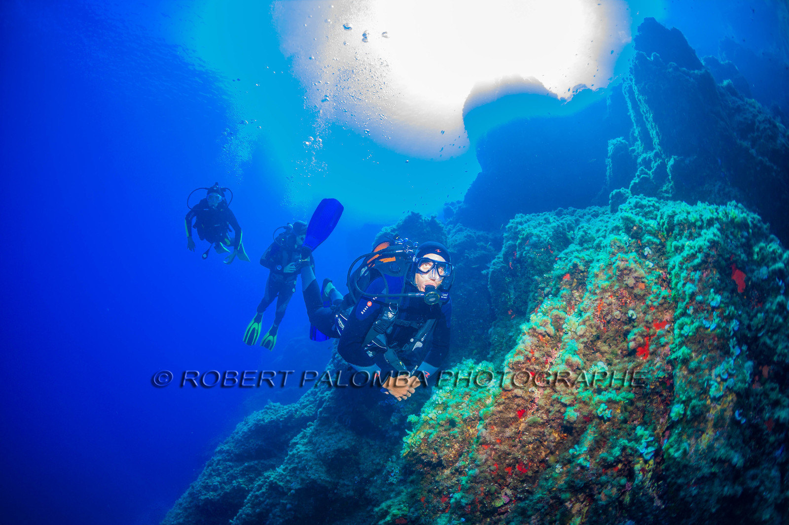 Plongée-sous-marine