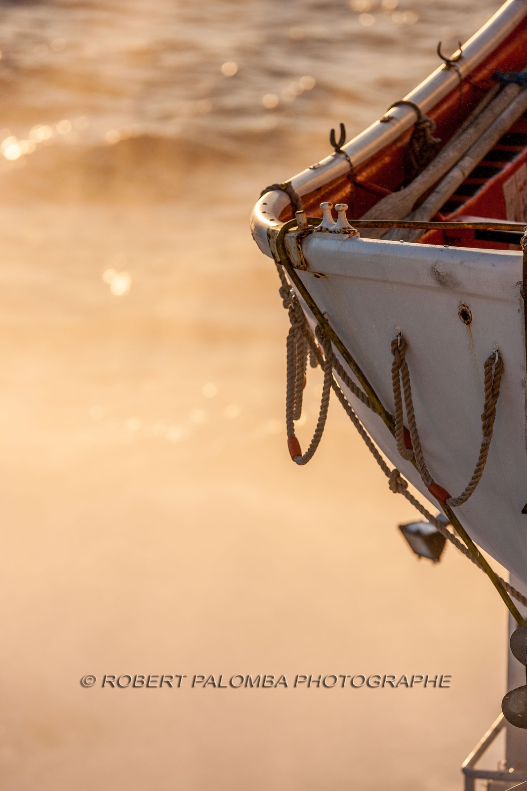 Voyage vers la Corse