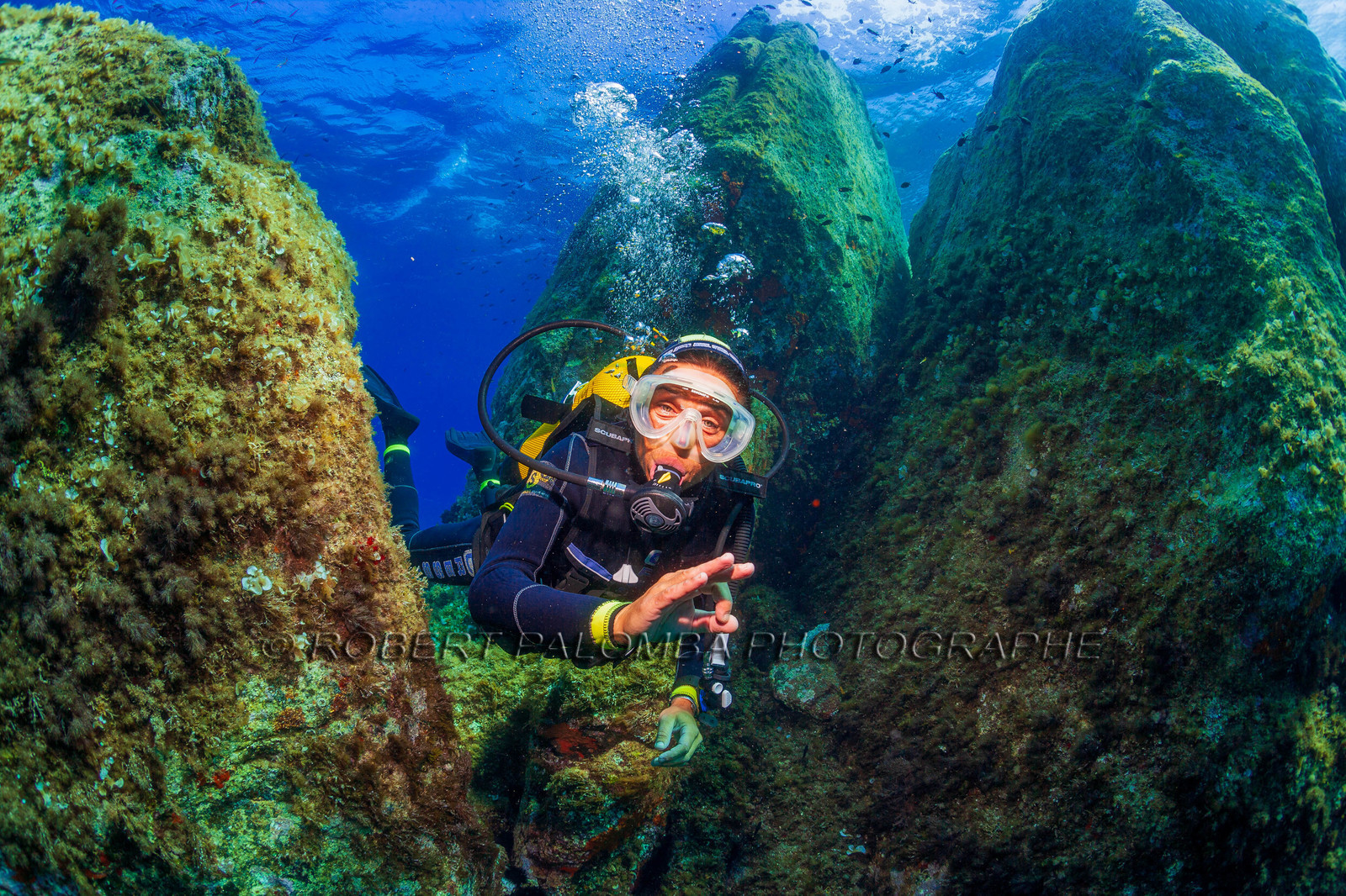 Plongée-sous-marine