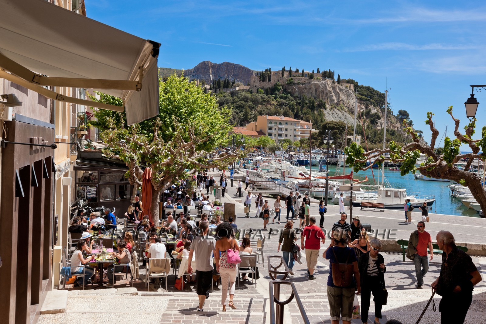 Cassis