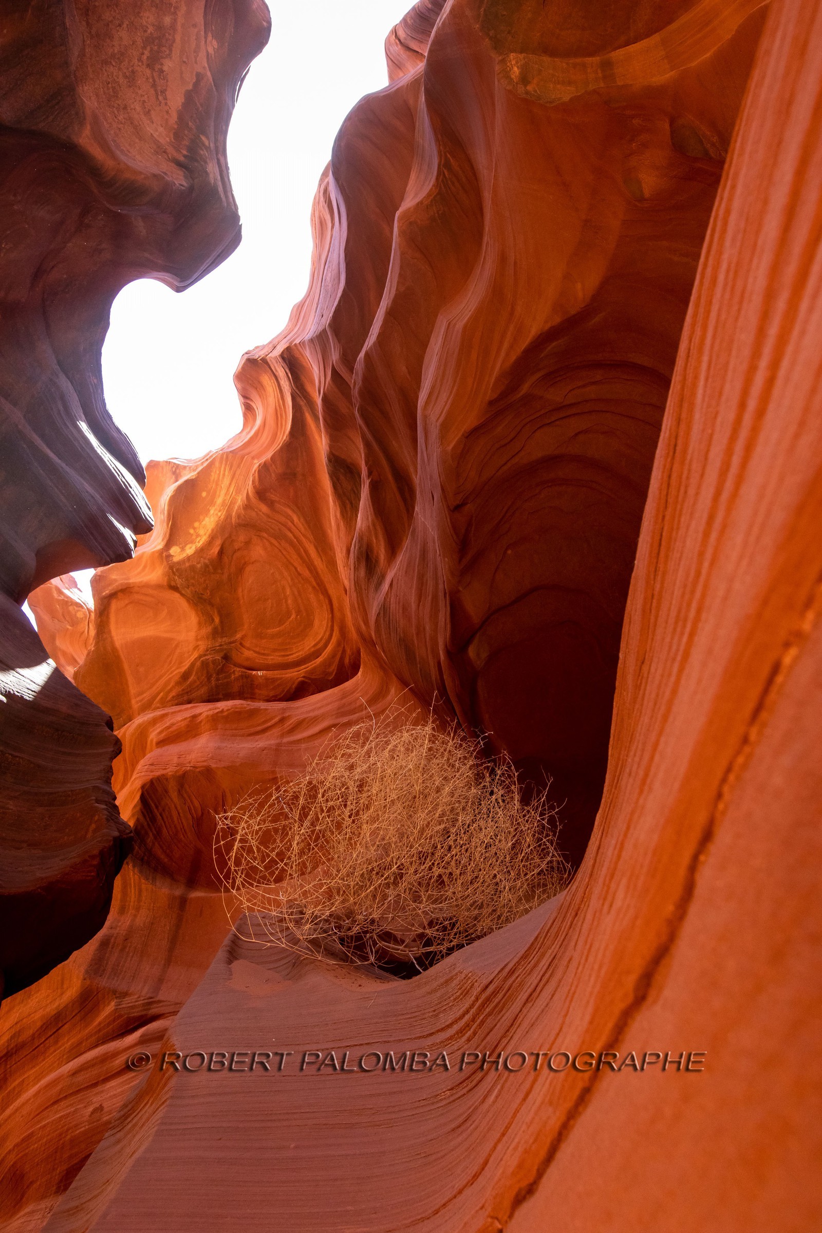 Antelope Canyon