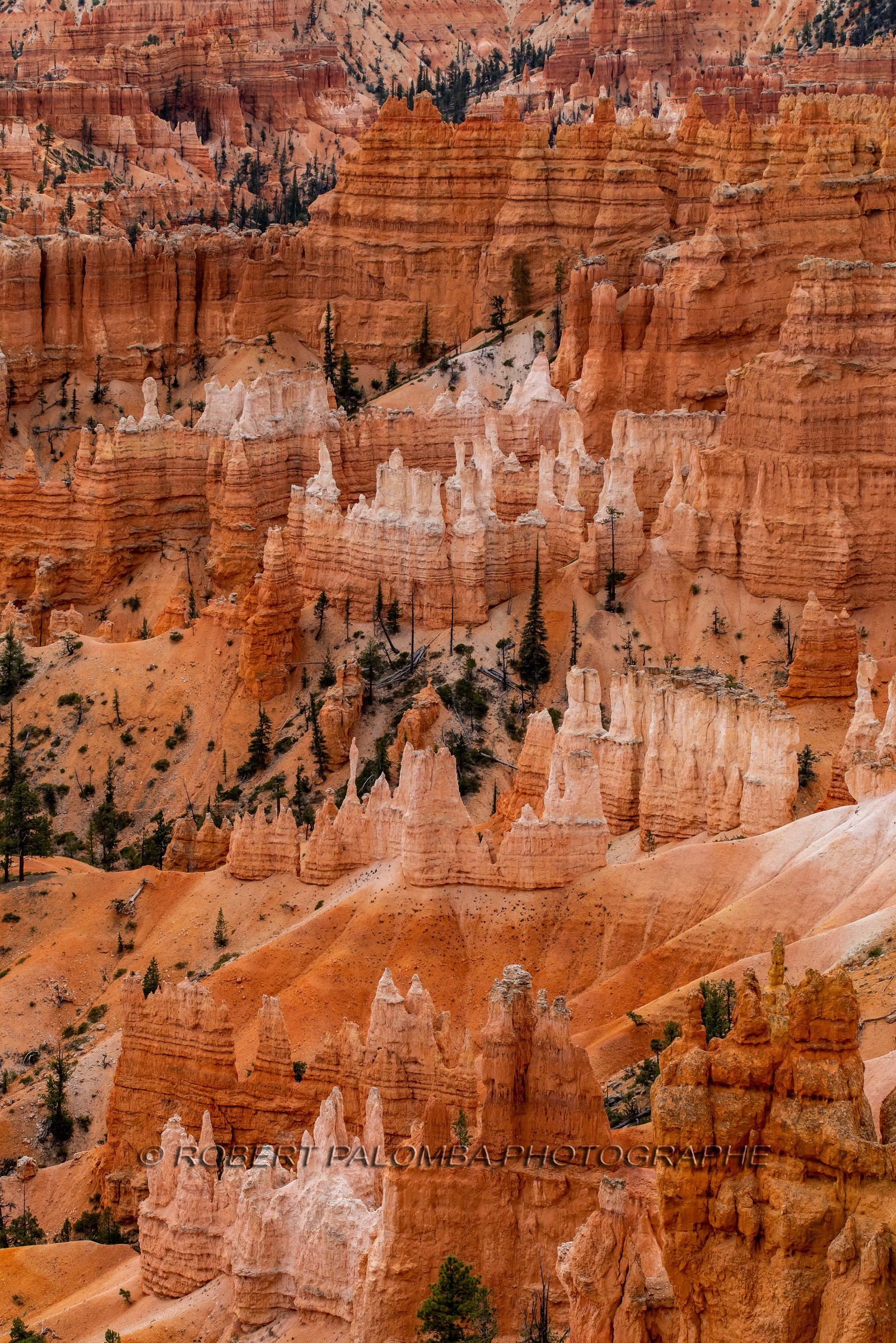 Bryce Canyon