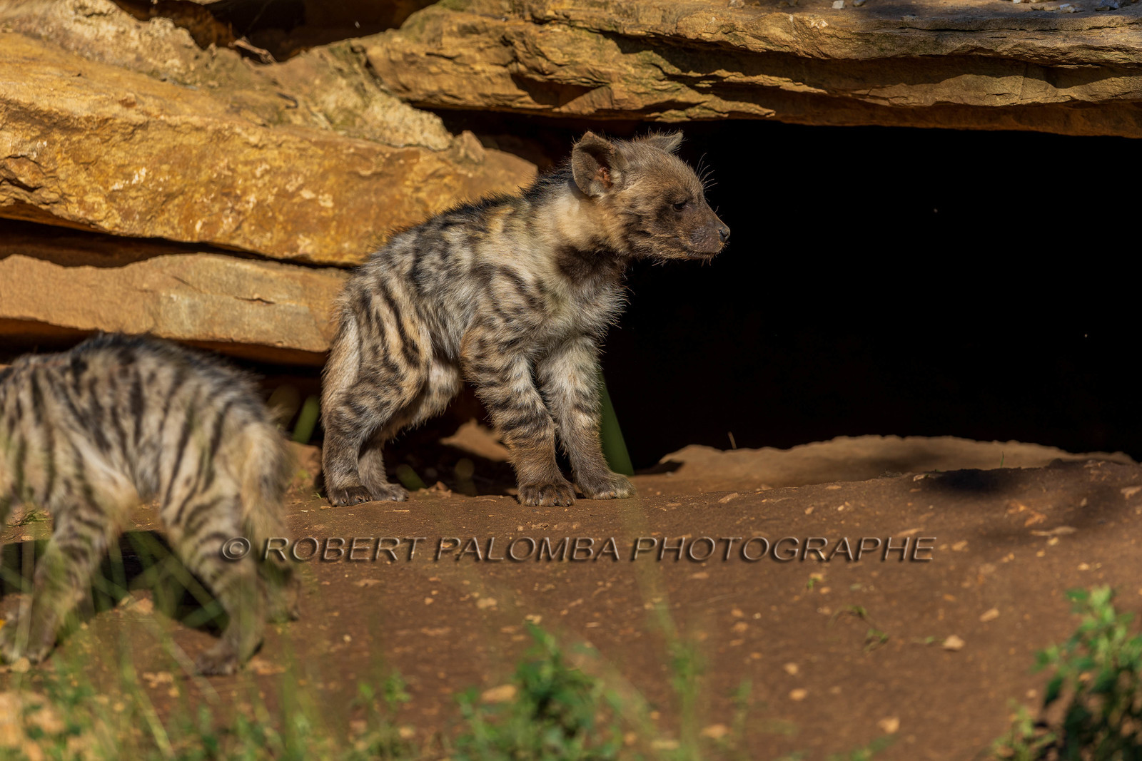 Parc animalier de la Barben