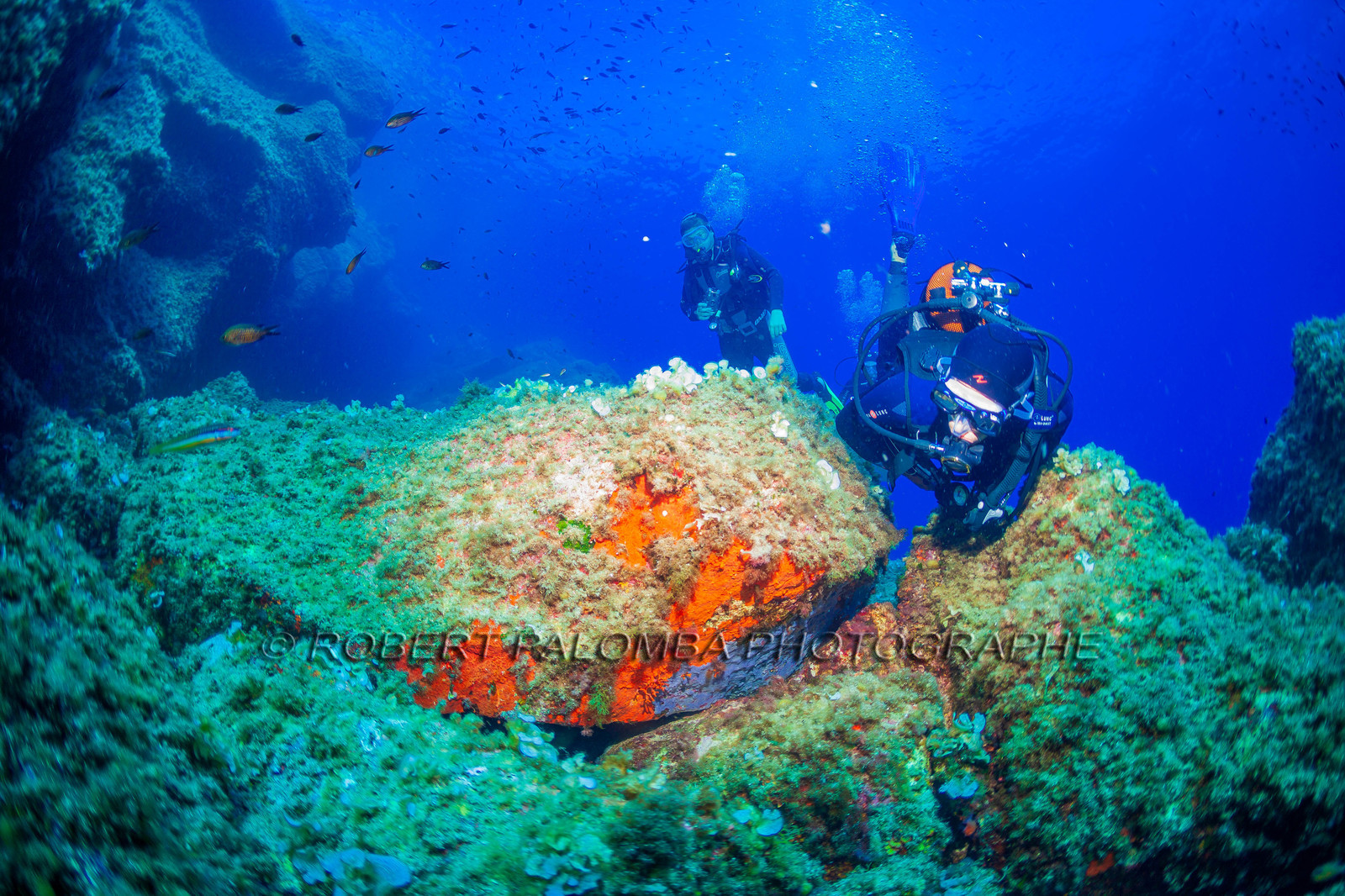 Plongée-sous-marine