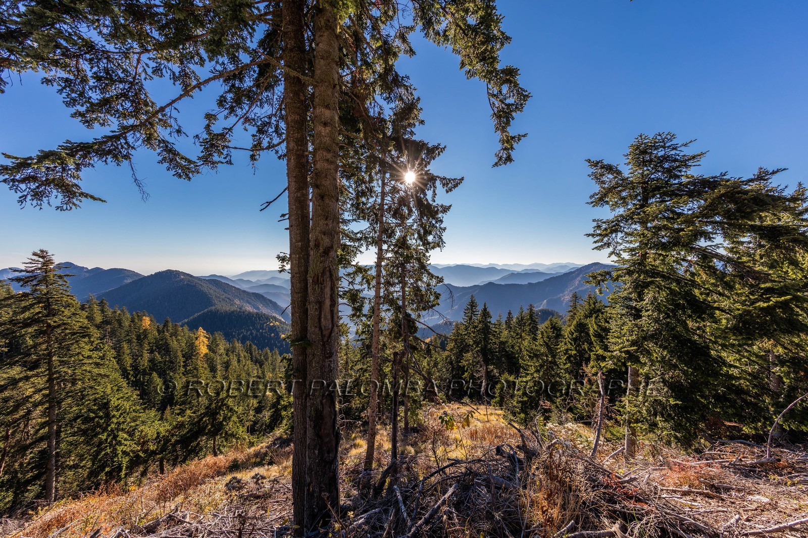 Granges de la Brasque